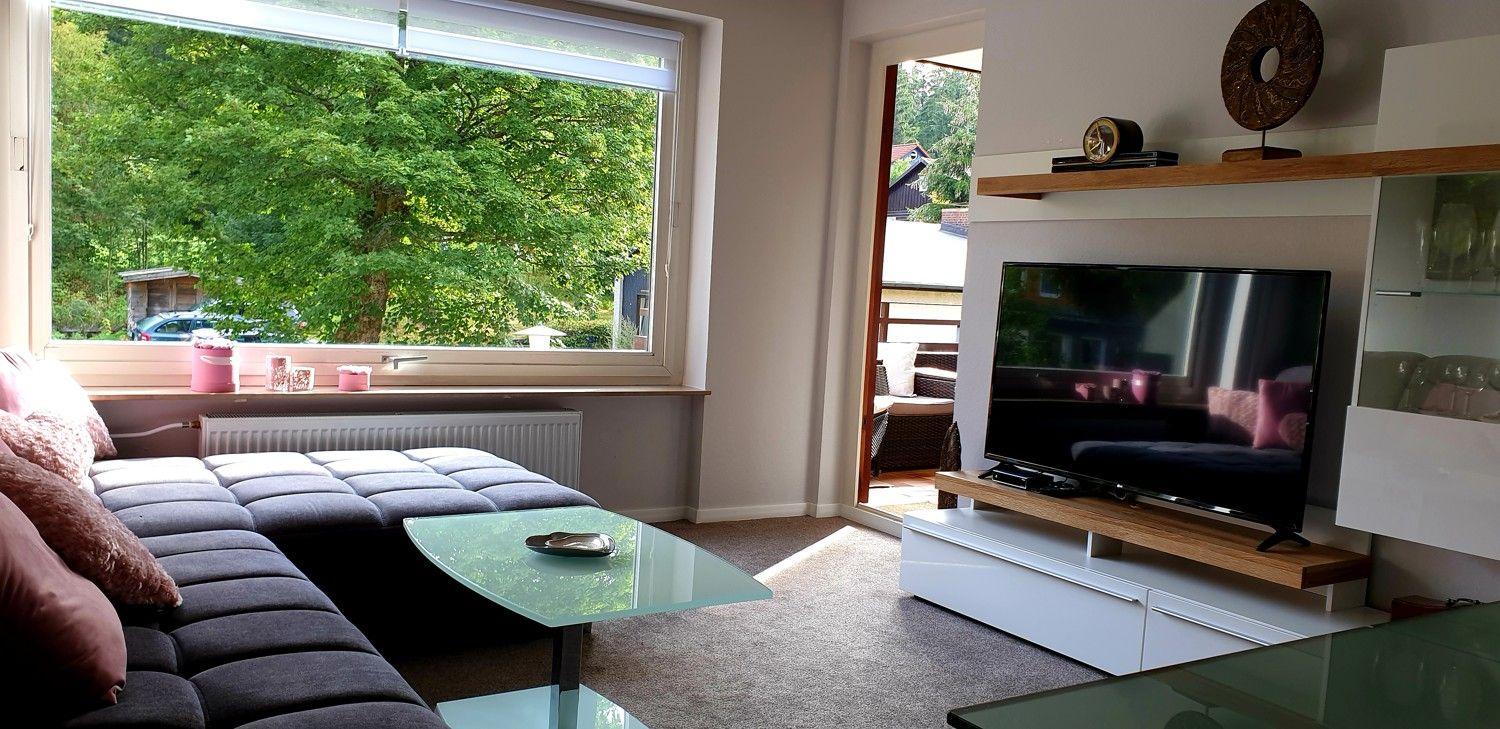 Wohnzimmer mit Sofa, Glas-Tisch und Fernseher. Blick auf grüne Bäume durch das Fenster.