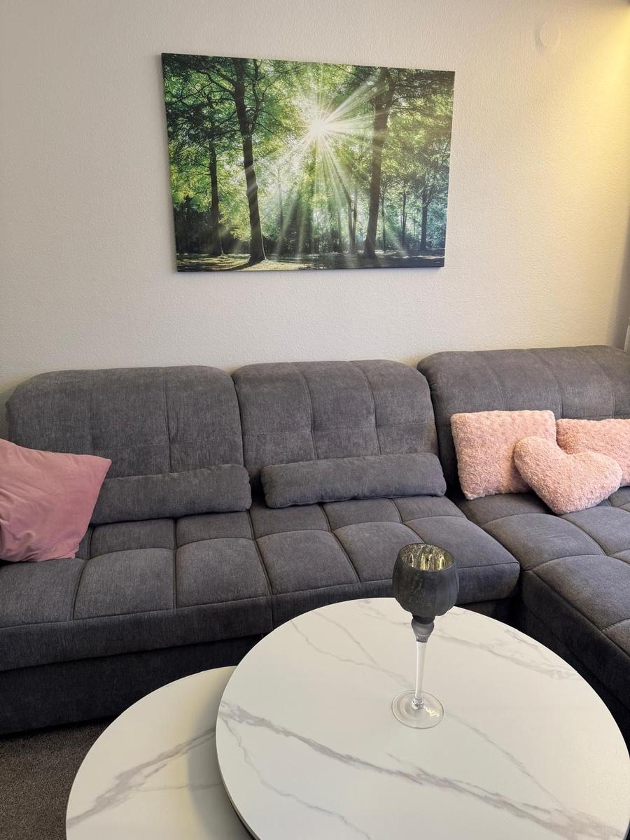 Graße Couch mit rosa Kissen, runde Tisch mit Glas, Wandbild im Wald.