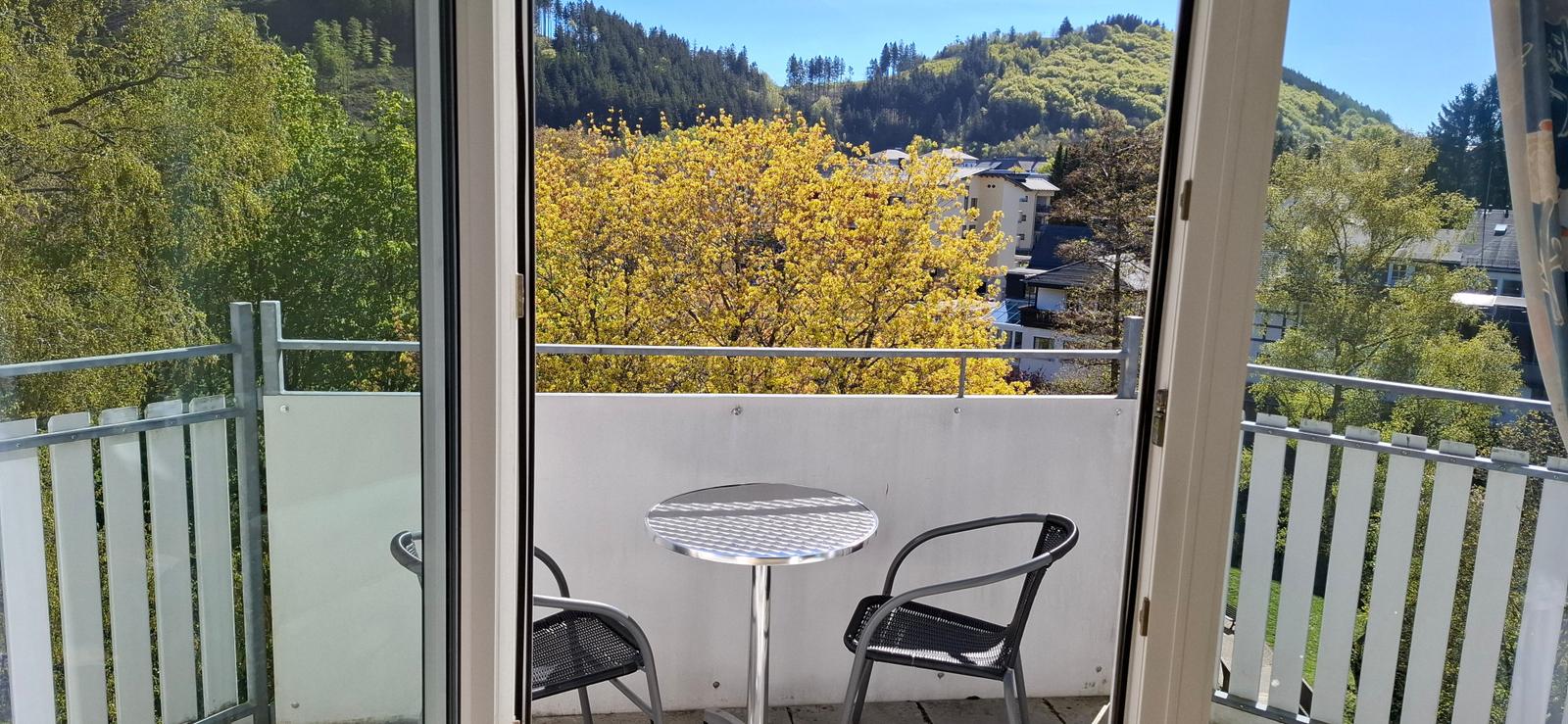 Vom Sofa hat man einen schönen Blick über den Balkon in den Kurpark und auf den Orenberg