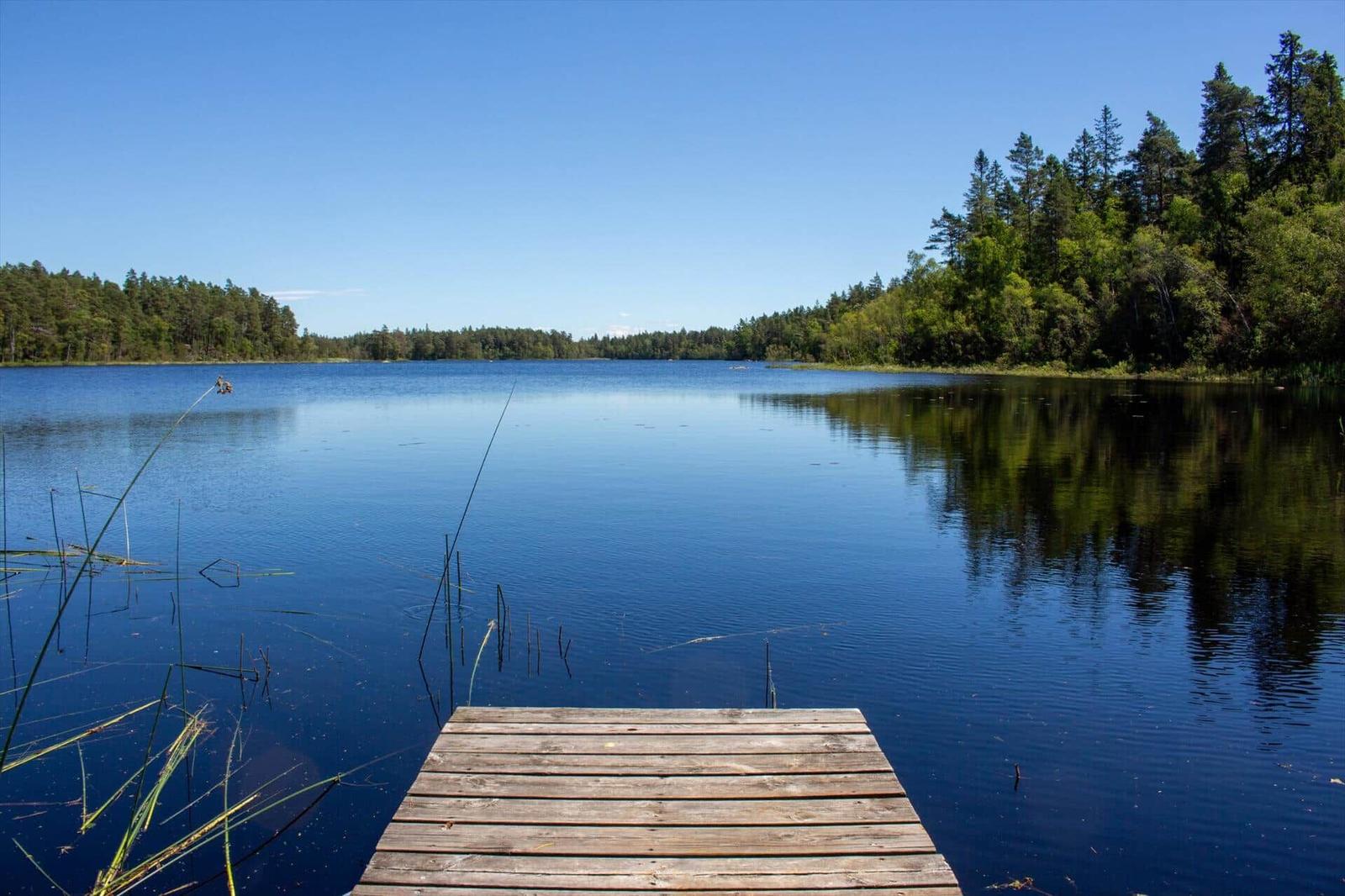 Holzsteg führt zu einem ruhigen See mit Wald umgeben.