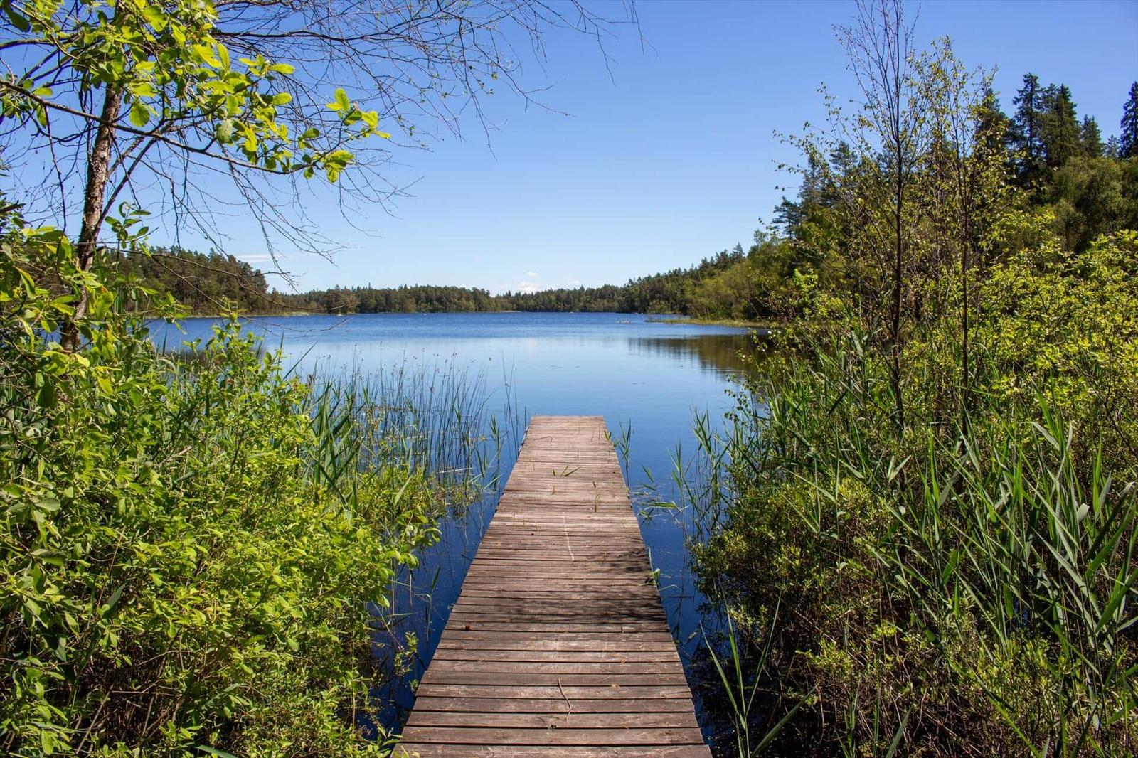 Holzsteg führt über ruhiges Wasser zu einem Wald. Umgeben von grüner Vegetation und blauem Himmel.