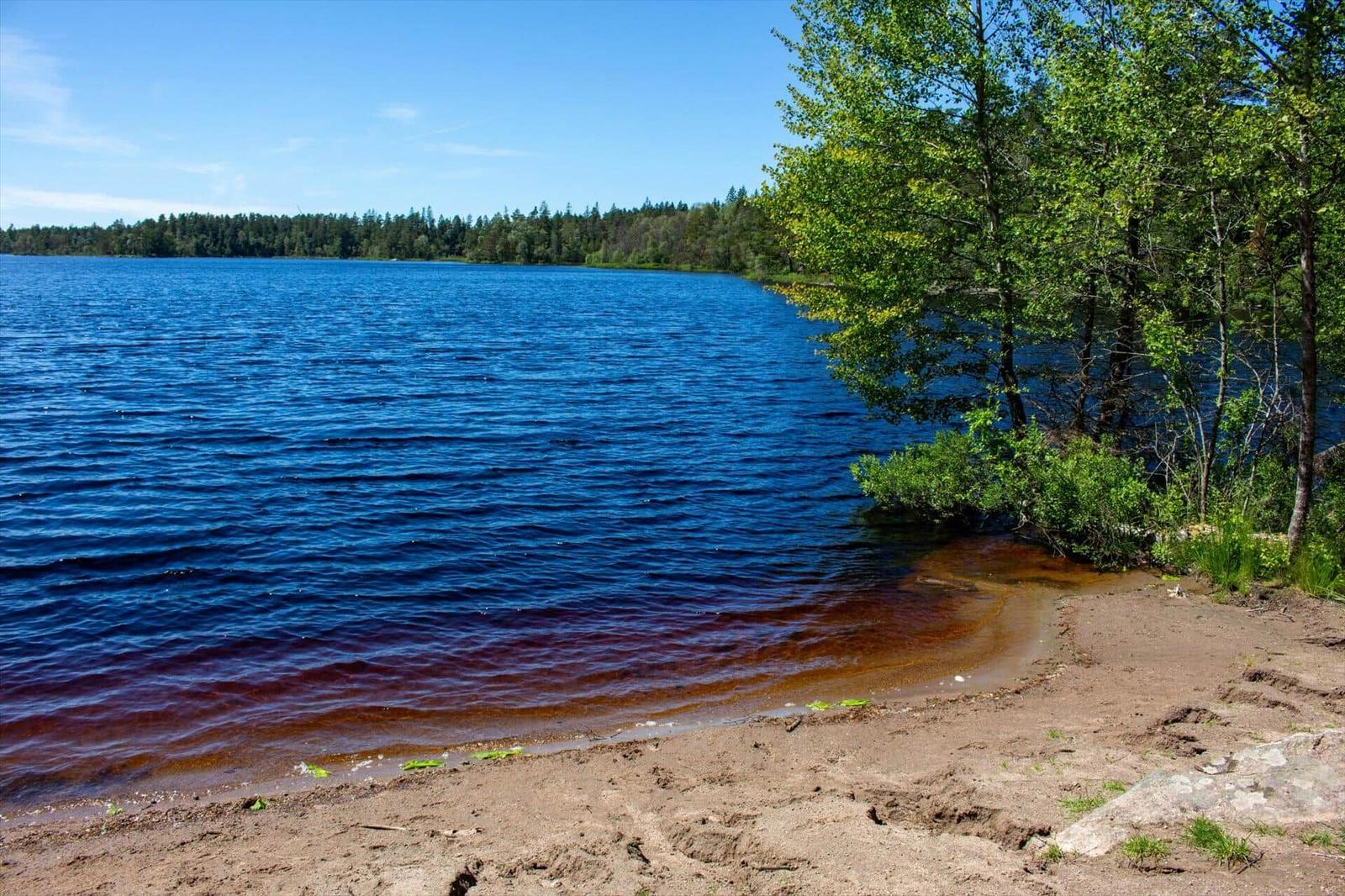 Ein See mit sandigem Ufer und Bäumen am Rand. Der Himmel ist blau.