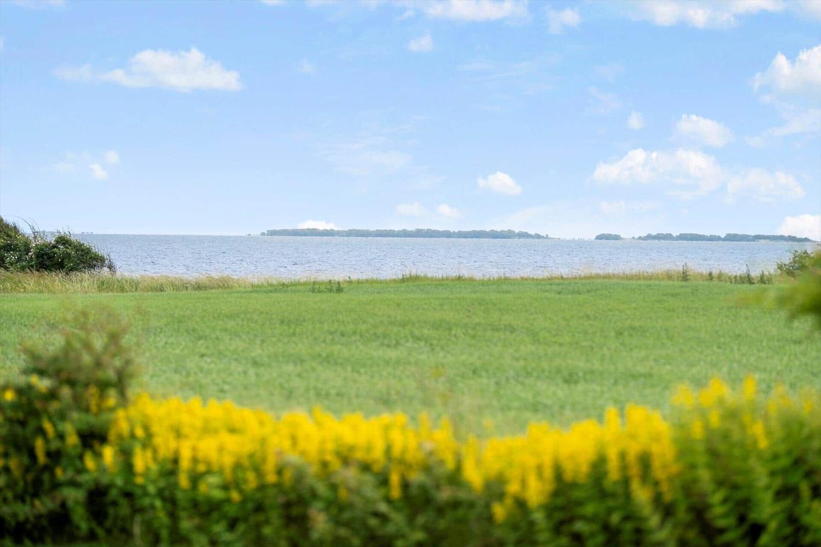 Grünes Feld mit gelben Blumen am Ufer eines Sees unter blauem Himmel mit weißen Wolken.