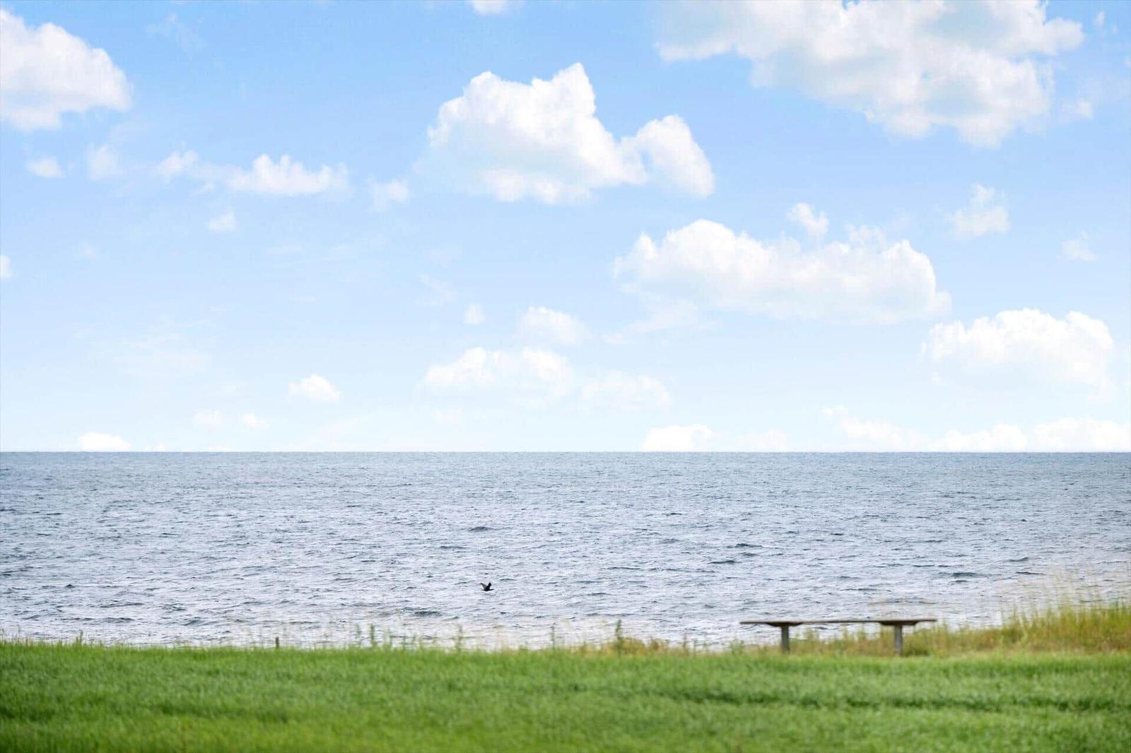 Ein Holztisch steht auf einer grünen Wiese am Ufer eines Sees unter einem blauen Himmel mit weißen Wolken.