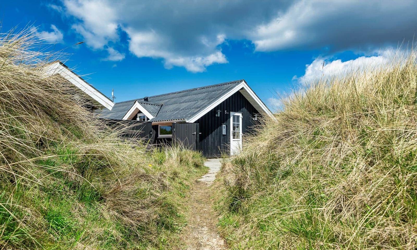 Hütte mit weißer Tür zwischen hohen Gräsern unter blauem Himmel.