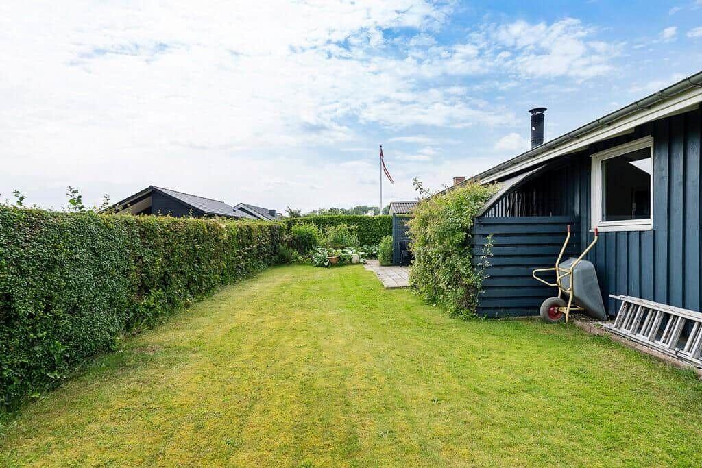 Hinterhof mit Rasenfläche, Hecke und blauem Holzhaus. Gartenwerkzeug und Leiter sind vorhanden.