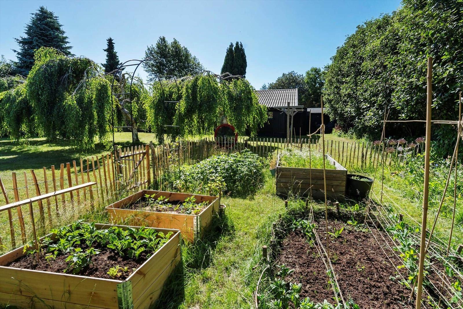 Garten mit Gemüsebeeten, Bäumen und einem Holzhaus im Hintergrund.