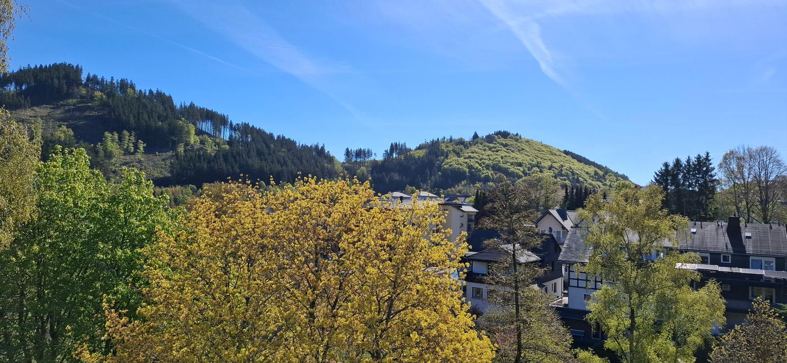 Blick vom Balkon über den Kurpark zum Orenberg