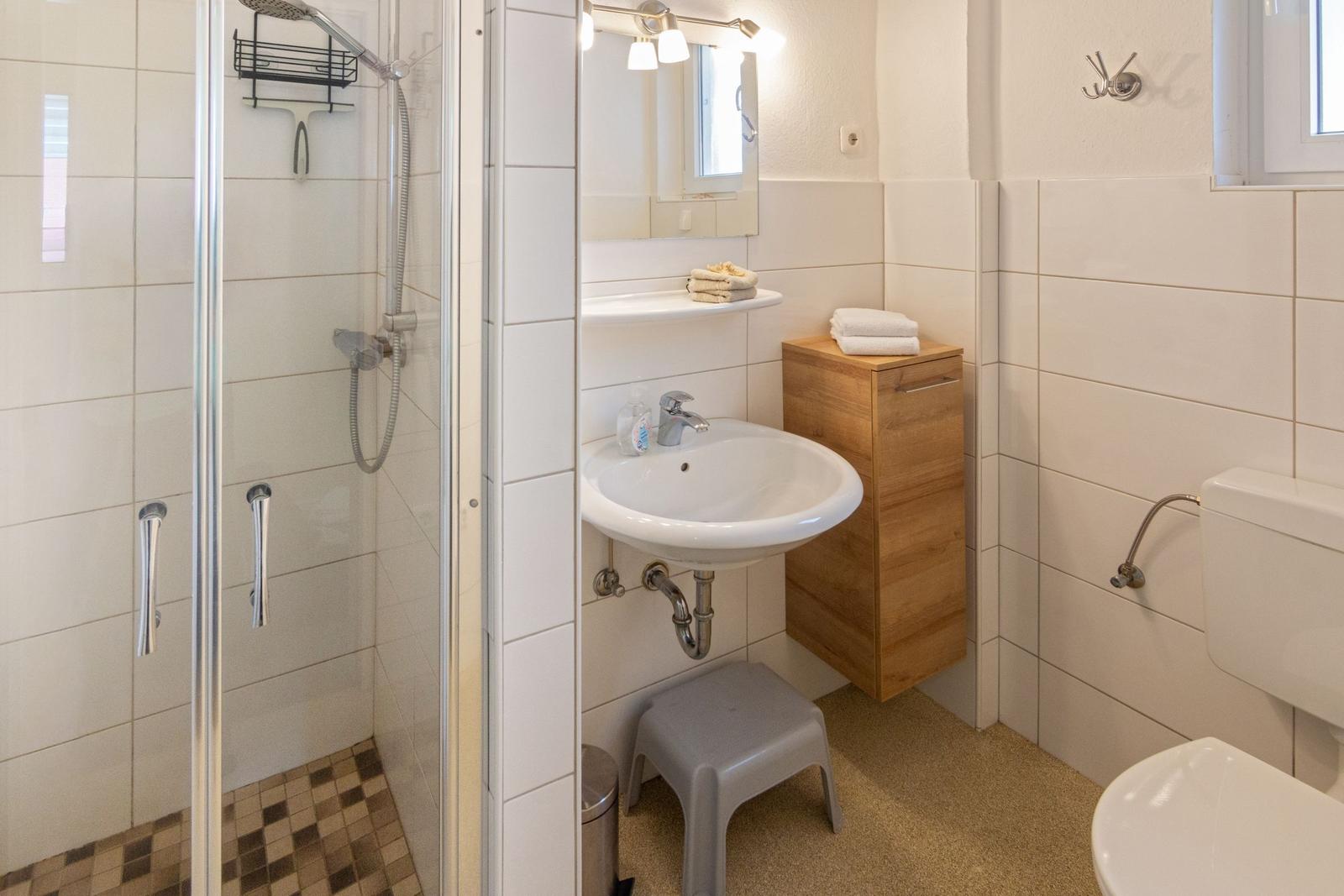 Badezimmer mit Dusche, Waschbecken und Toilette. Holzschrank und Spiegel sichtbar.