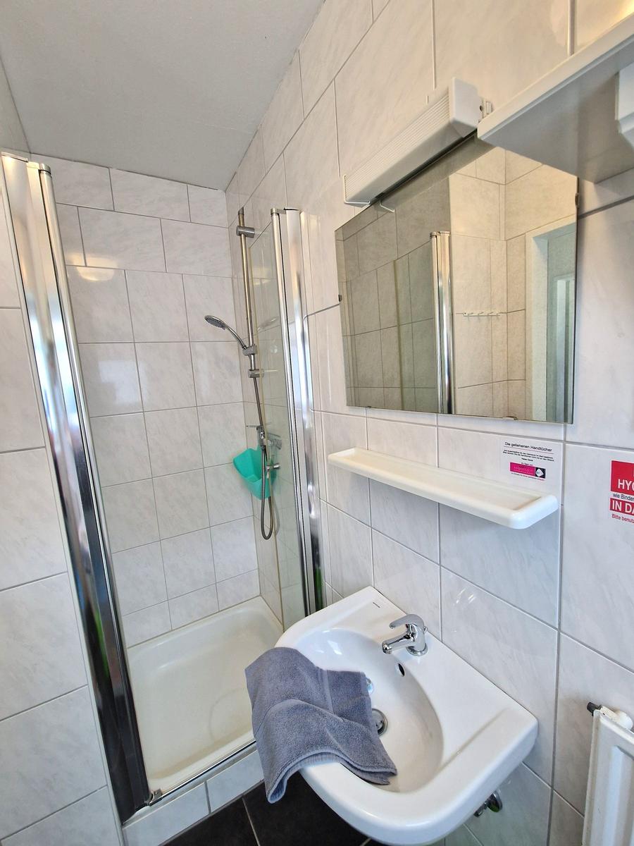Badezimmer mit Dusche, Waschbecken und Spiegel.