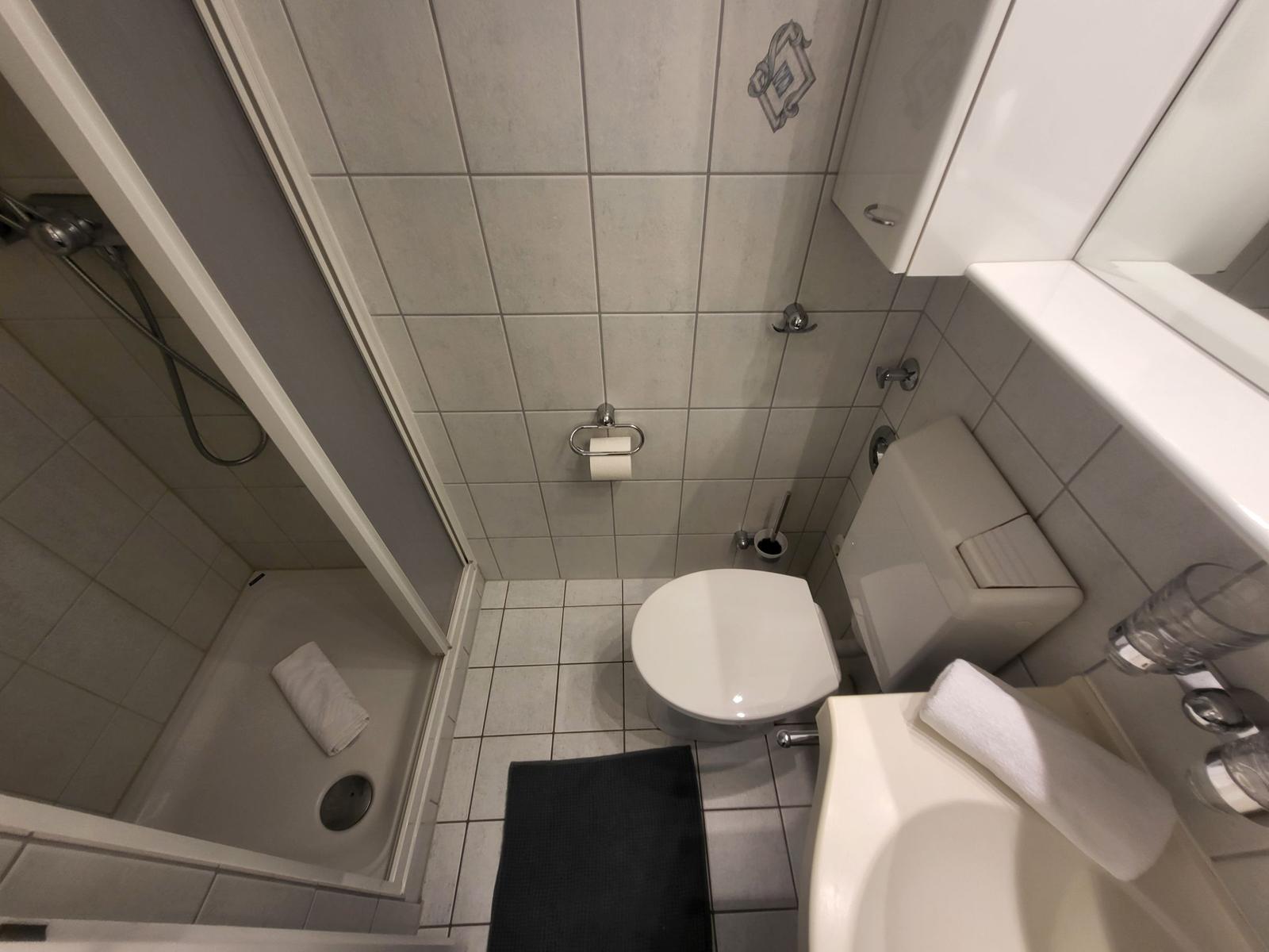 Badezimmer mit Dusche, WC und Waschbecken.