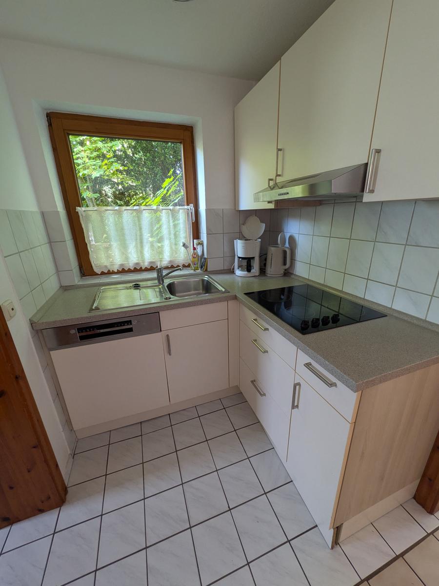 Küche mit Fenster, Spüle, Kochfeld und Schränken.