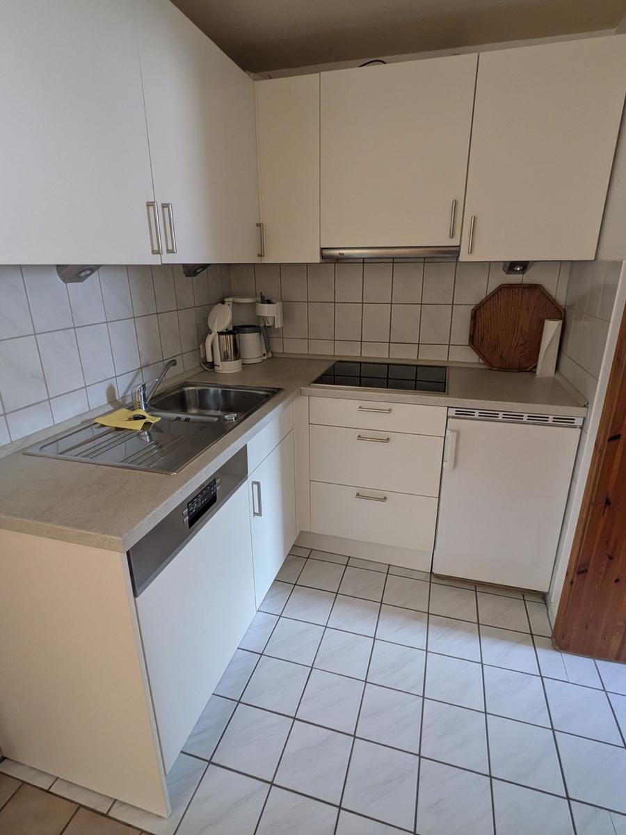 Küche mit weißen Schränken, Edelstahlspüle und Induktionskochfeld.