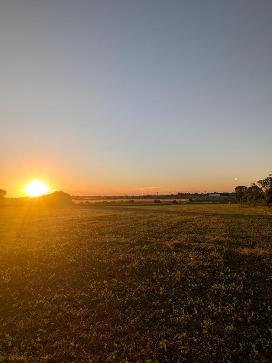 Sonnenuntergang über Feldern mit Windrädern im Hintergrund.