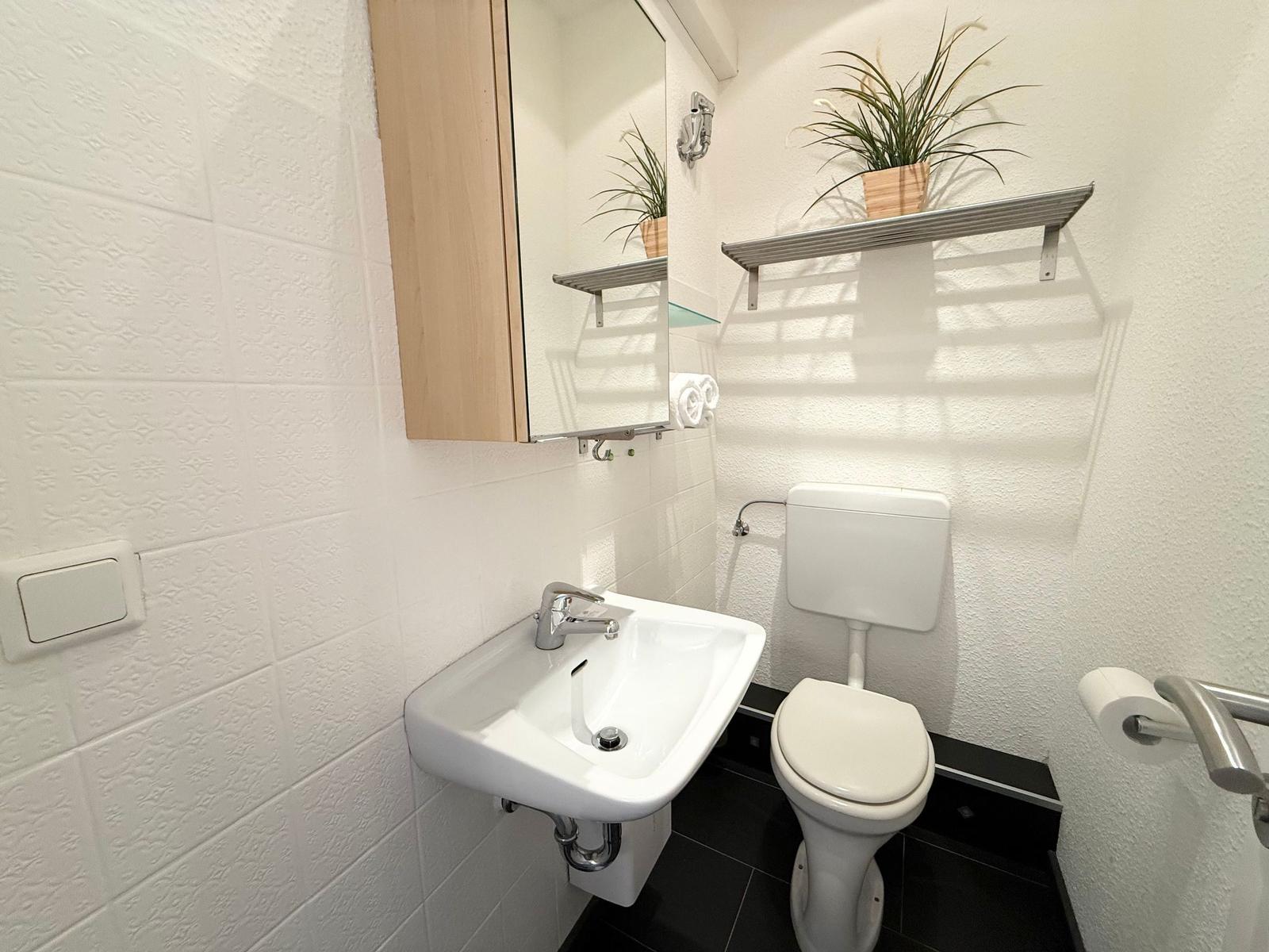 Badezimmer mit Waschbecken, Toilette und Pflanze auf Regal