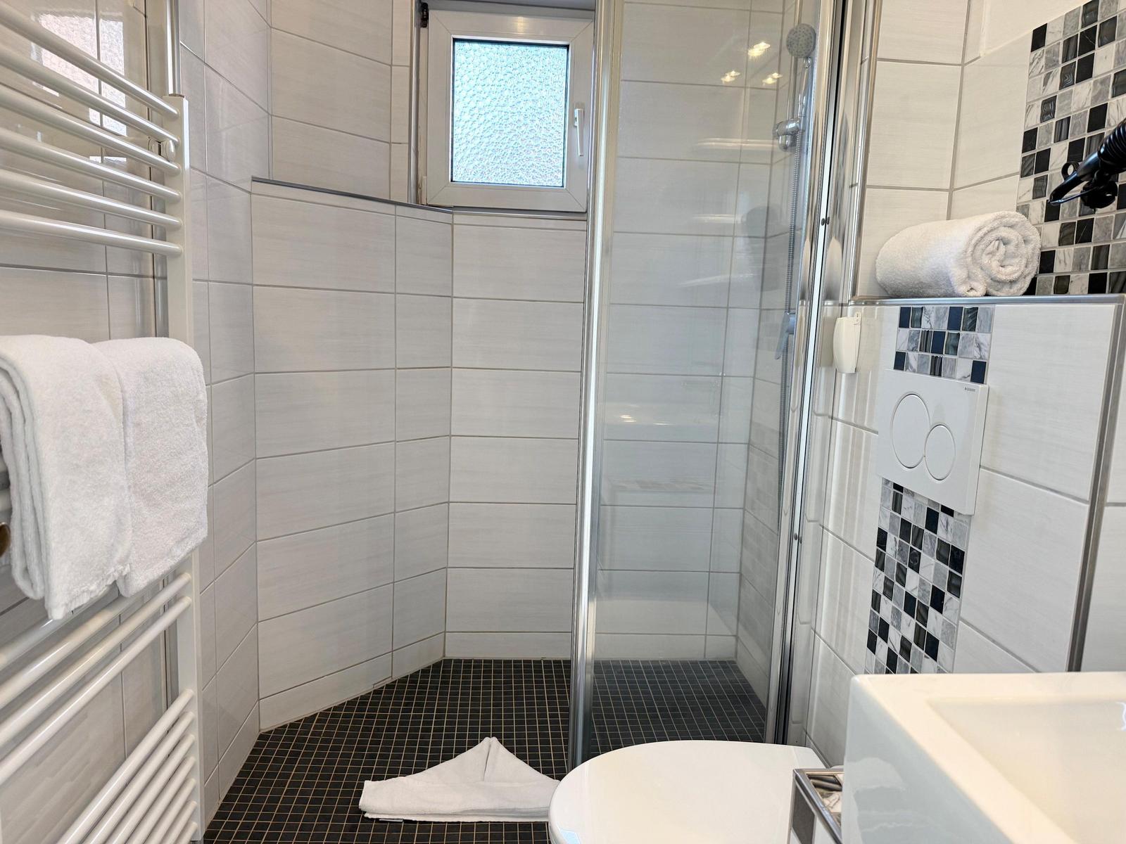 Badezimmer mit Dusche, Toilette und Handtuchhalter.