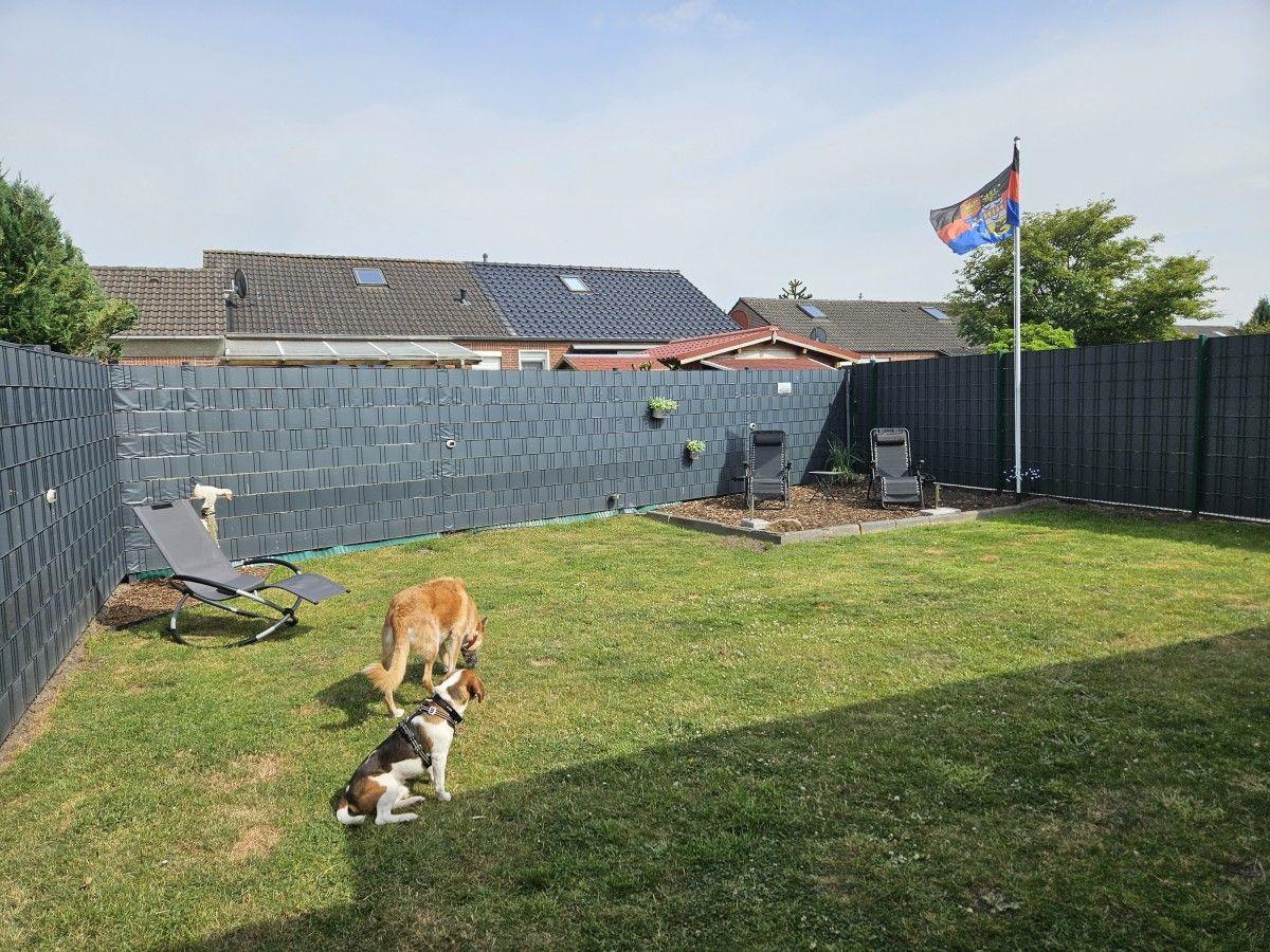 Backyard with grass, two dogs, loungers, and flag on fence.
