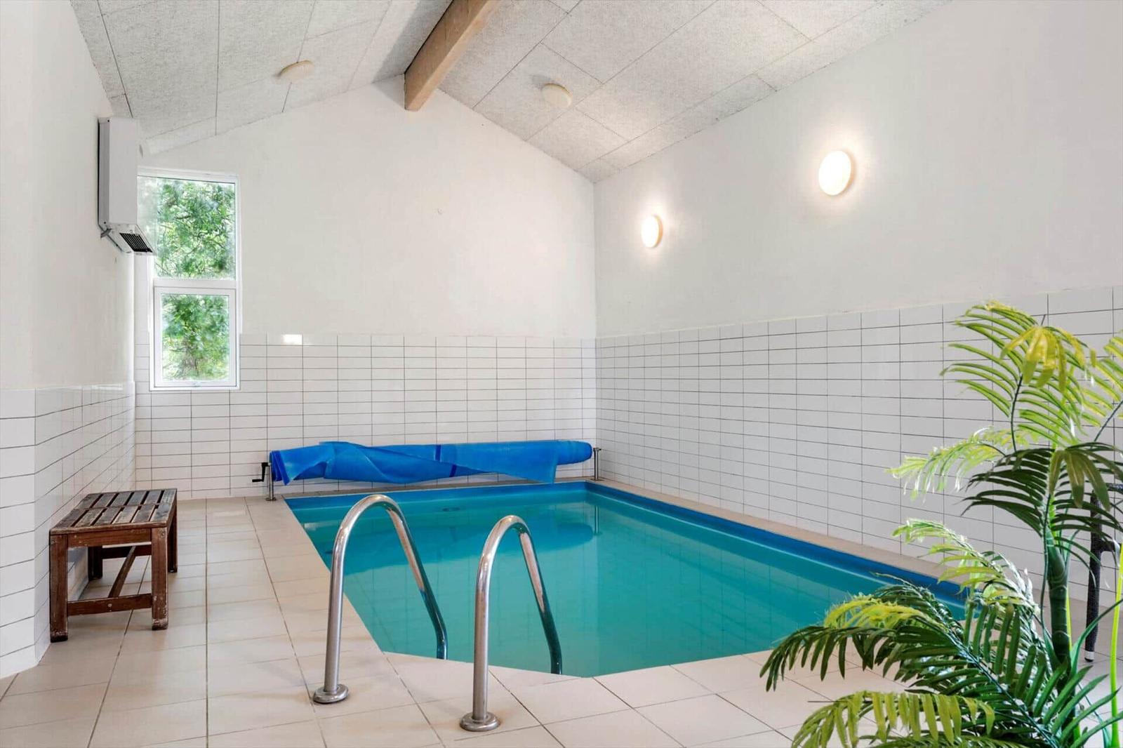 Innere Schwimmhalle mit Pool, Holzbank, Fenster und Pflanze.