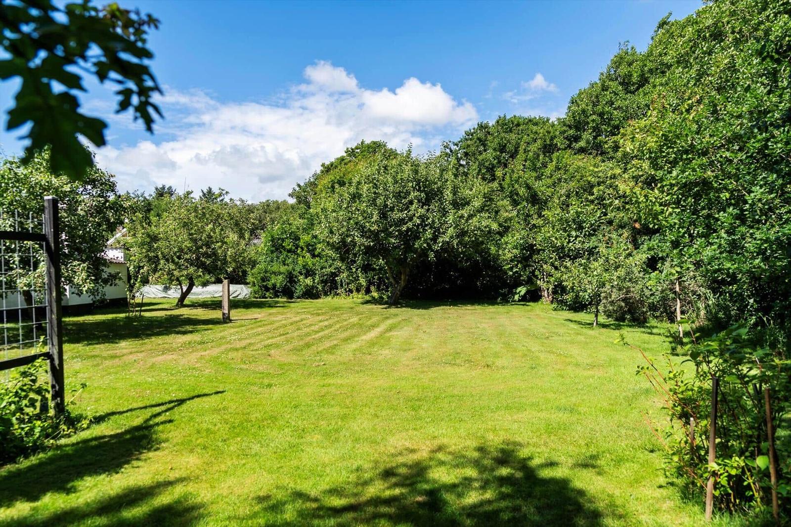 Großer grüner Garten mit Bäumen und Zaun unter blauem Himmel.