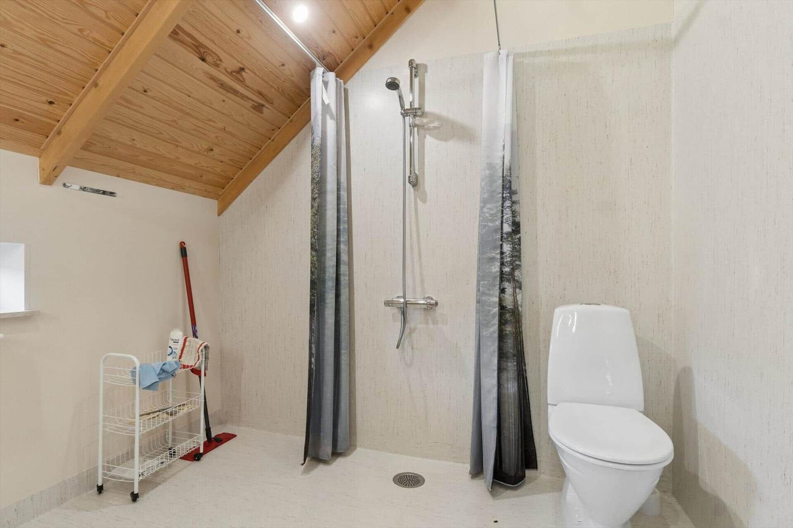 Bad mit Dusche, Toilette und Holzdecke