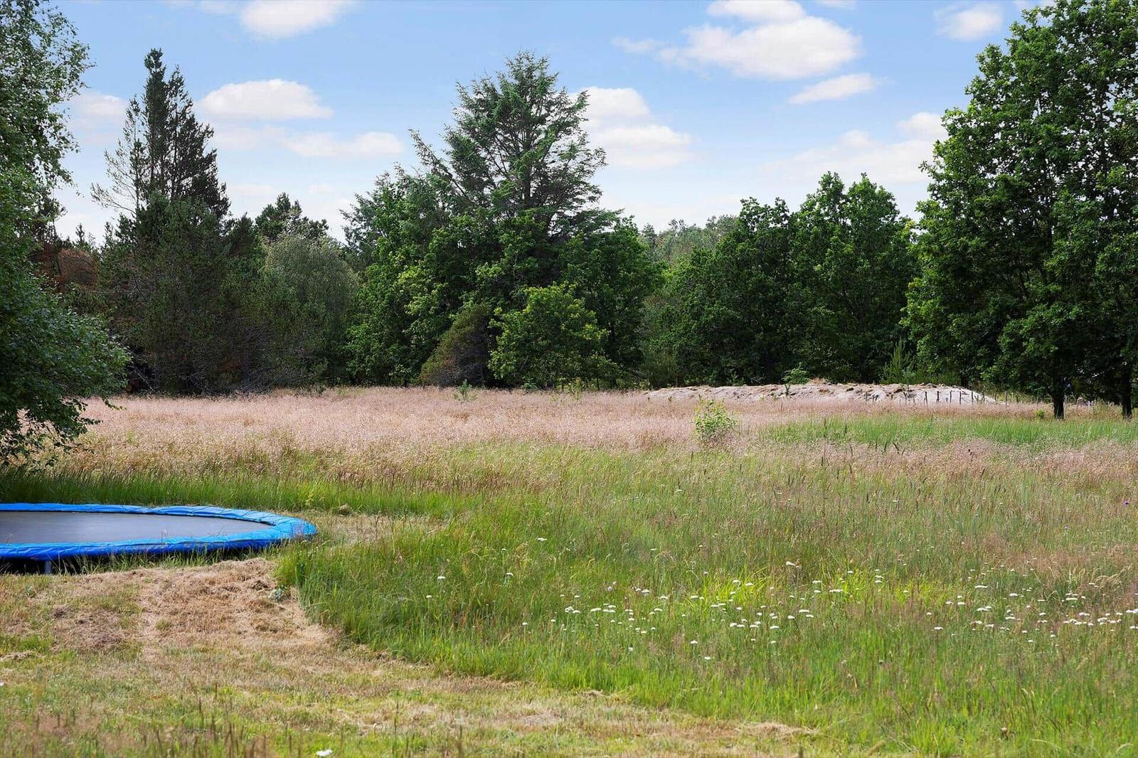 Grünes Feld mit Trampolin und Wald im Hintergrund unter blauem Himmel.