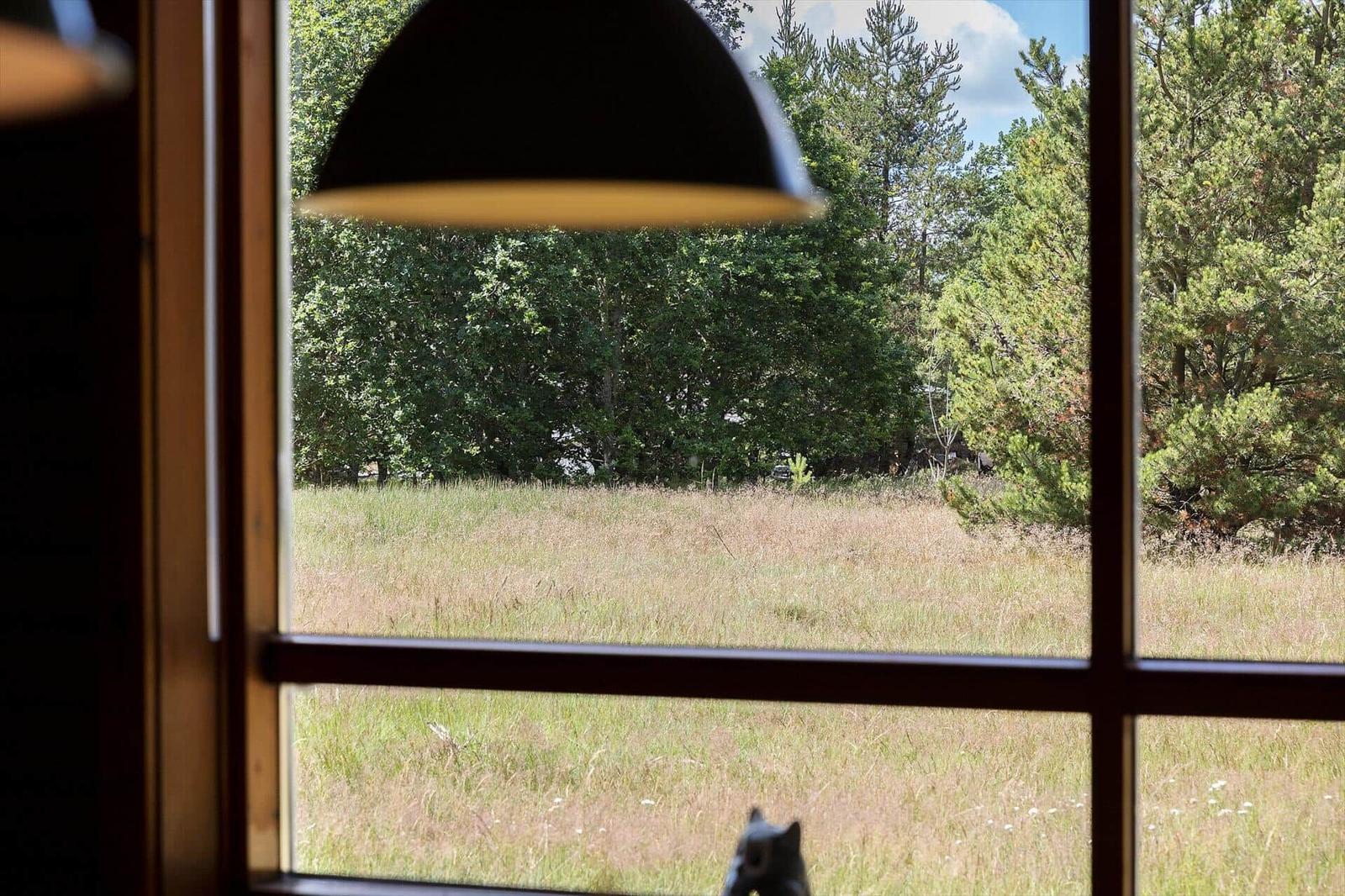 Durch das Fenster ist ein Grasfeld mit Bäumen im Hintergrund zu sehen.