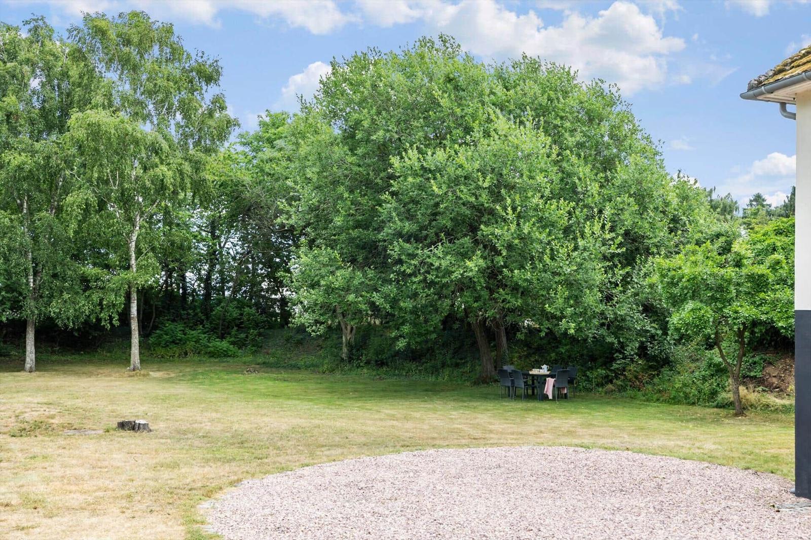 Grüner Garten mit Tisch und Stühlen unter Bäumen. Steinpflaster und Baumstumpf sichtbar.