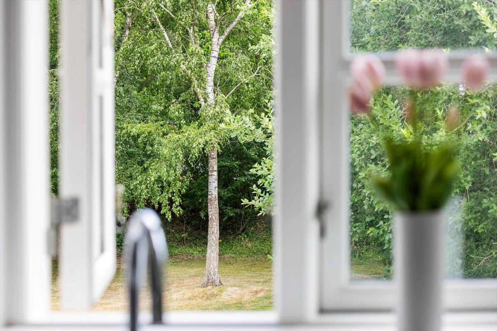 Durch das Fenster ist ein grüner Garten mit einem Baum zu sehen.