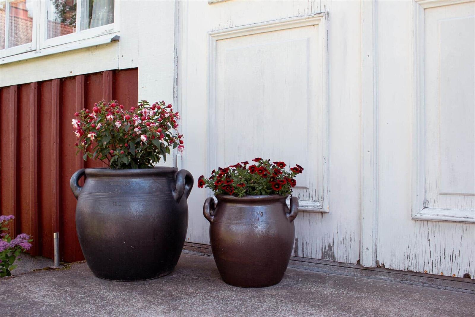 Zwei große dunkle Töpfe mit Blumen stehen vor einer weißen Tür und rotem Holz.