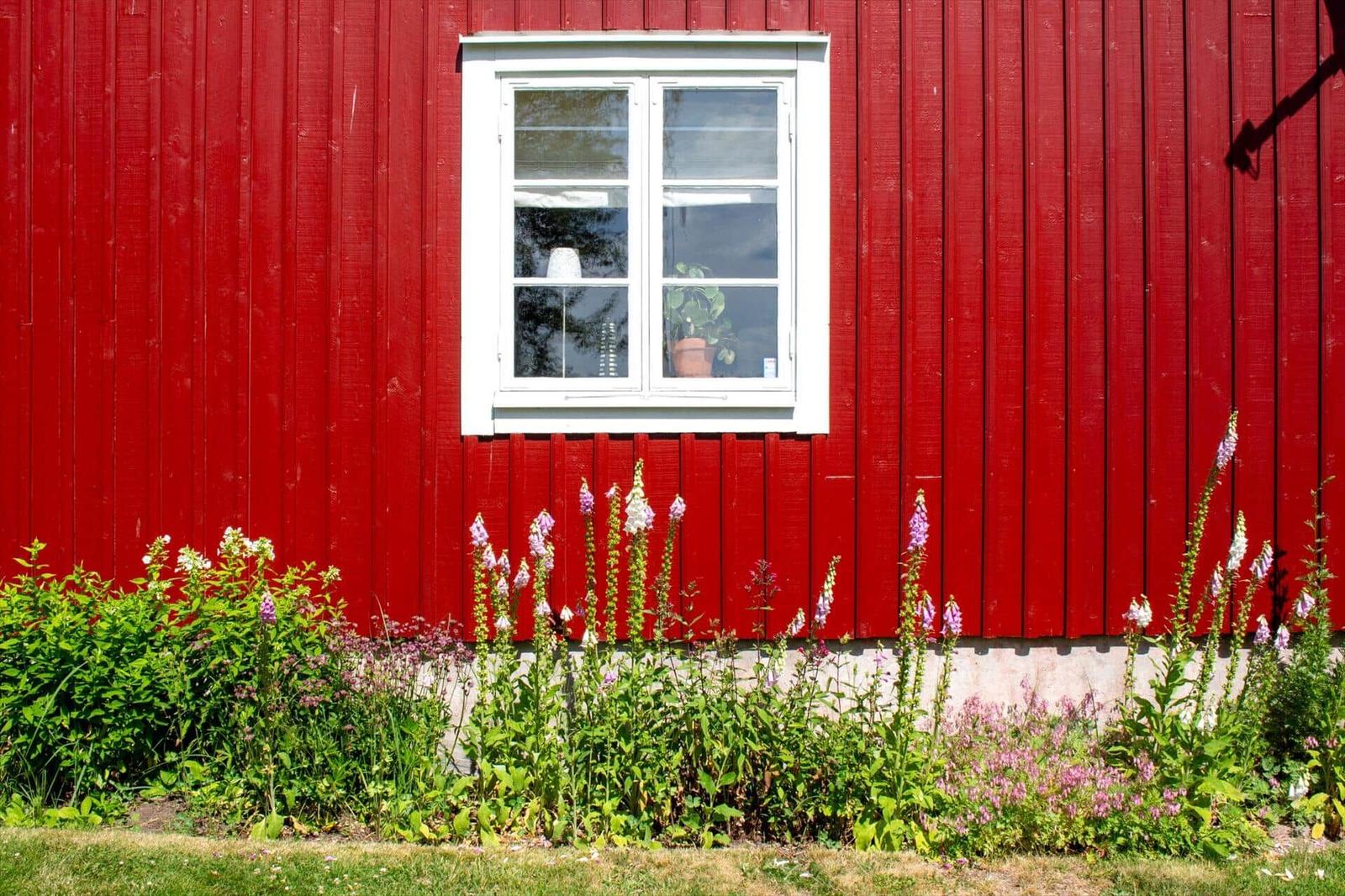 Rotes Holzhaus mit weißem Fenster und Blumenbeet im Vorgarten.