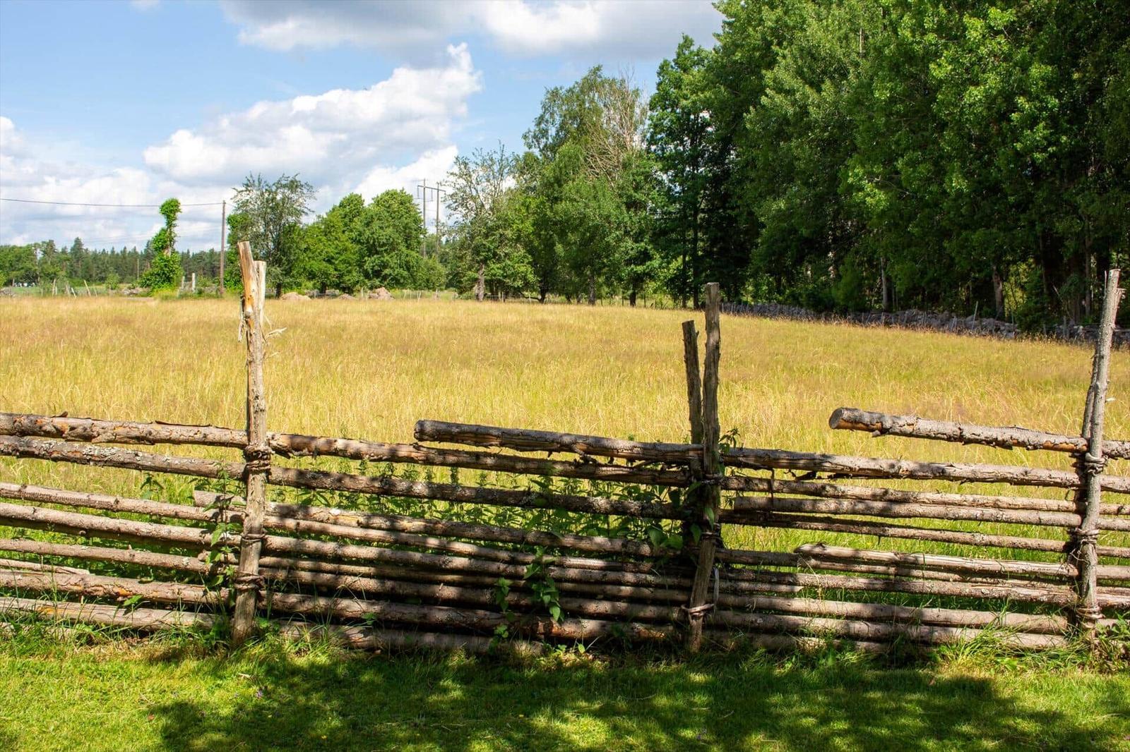Holzzaun umgibt ein Feld mit hohem Gras und Bäumen im Hintergrund.