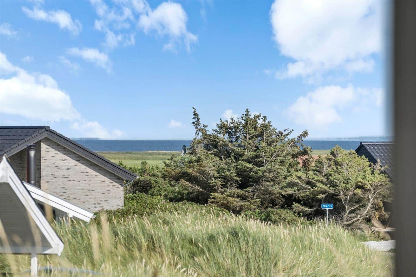 Blick auf das Meer mit Grasland und Bäumen. Haus mit grauer Fassade und Dach.