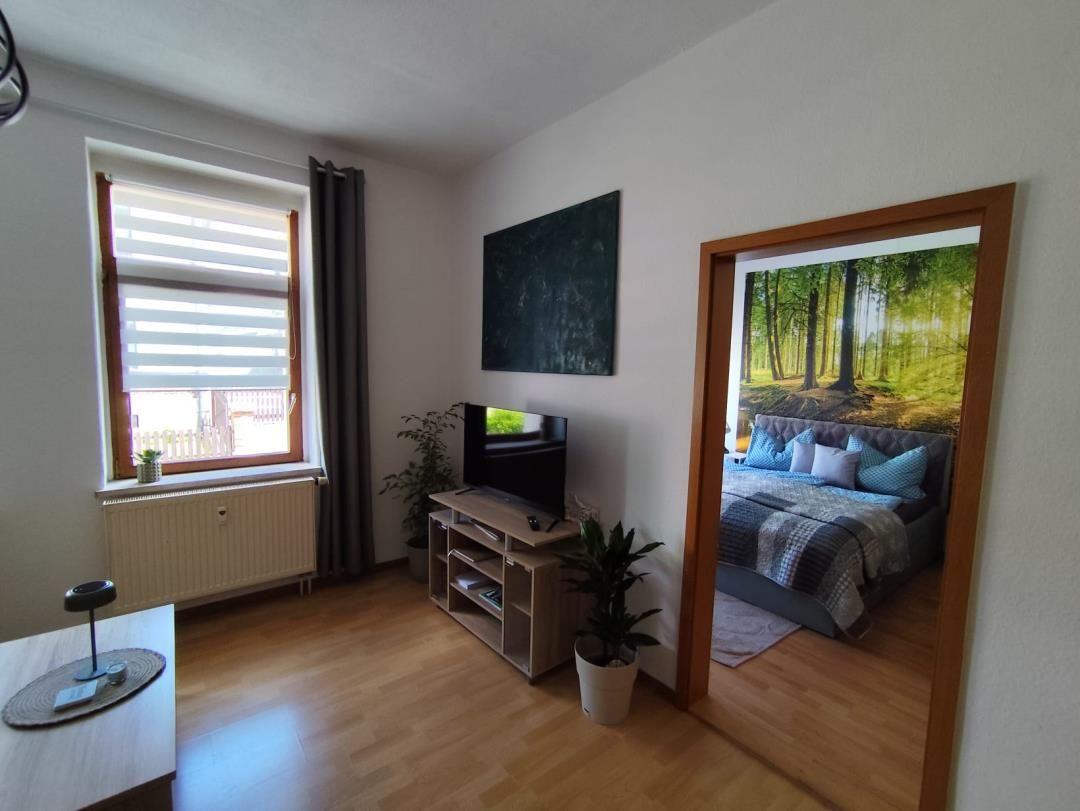 Living room with TV and view into bedroom with bed and wall mural