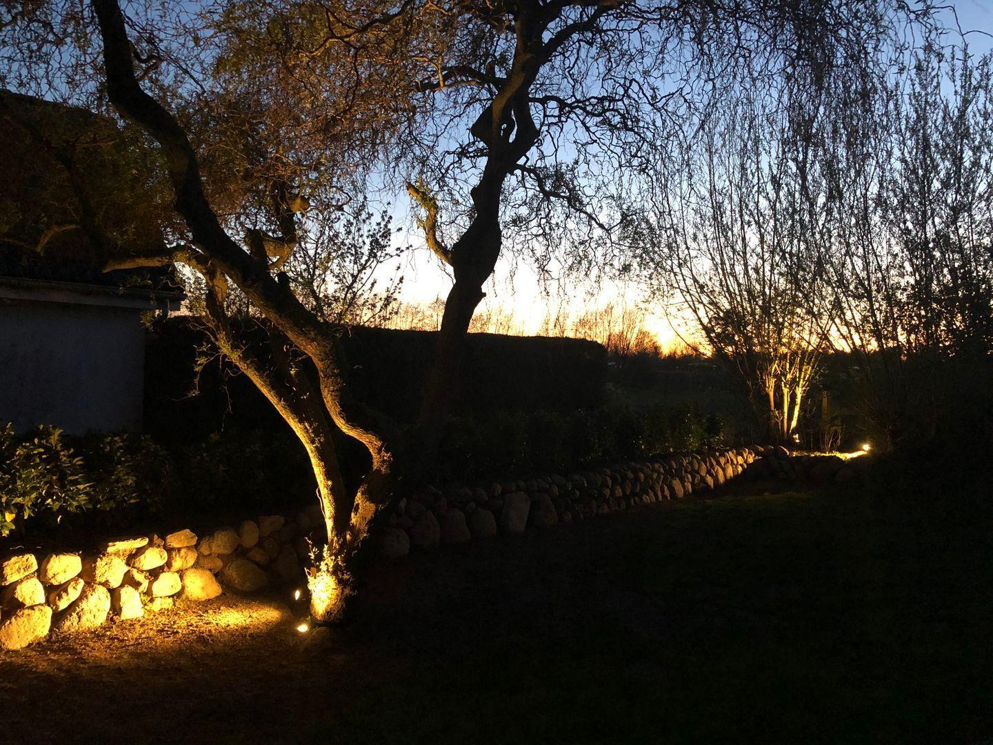 Garten bei Sonnenuntergang mit beleuchtetem Baum und Steinmauer.