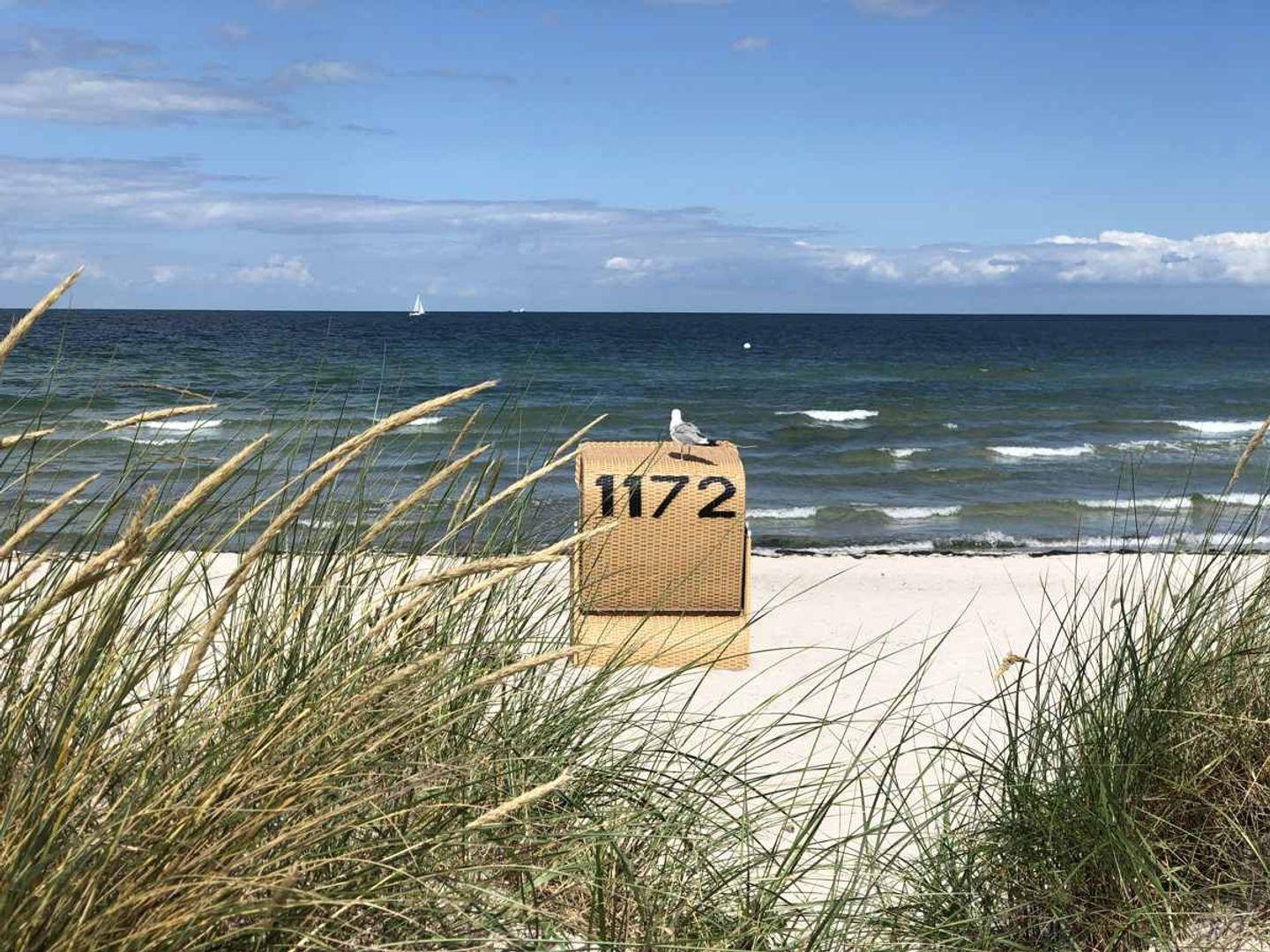 Strandhaus mit Nummer 1172, Seemöwe darauf, Blick auf das Meer mit Segelboot.