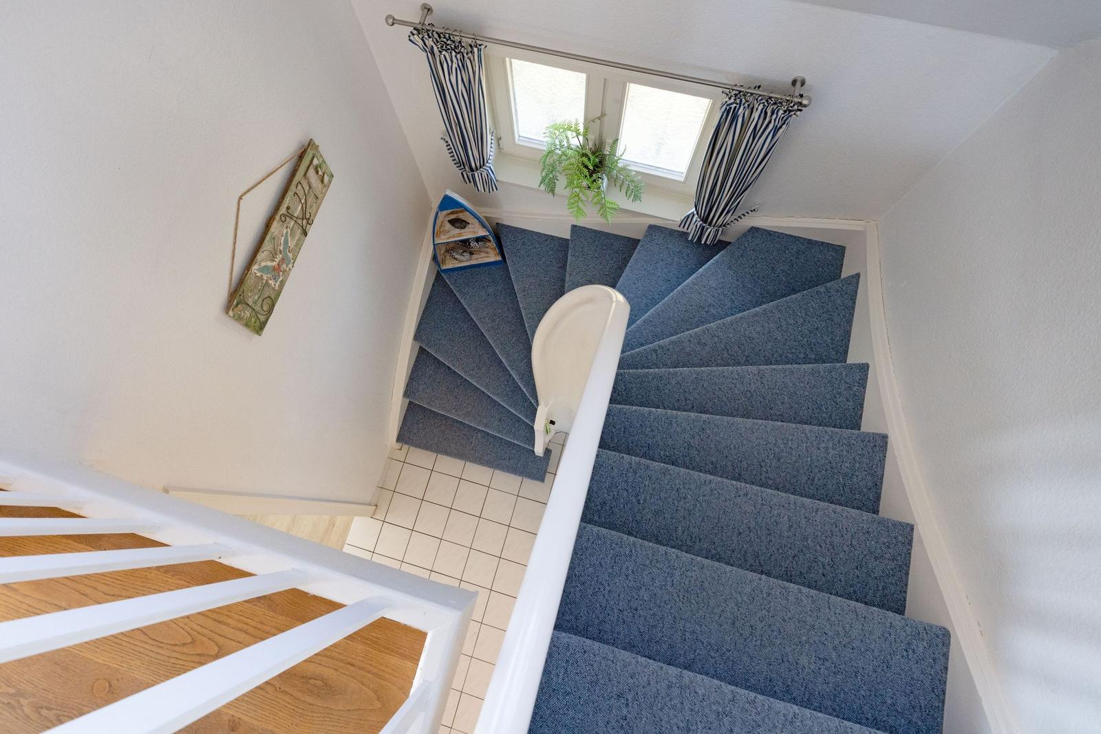 Treppe mit blauem Teppich führt zu einem Fenster mit Vorhängen.