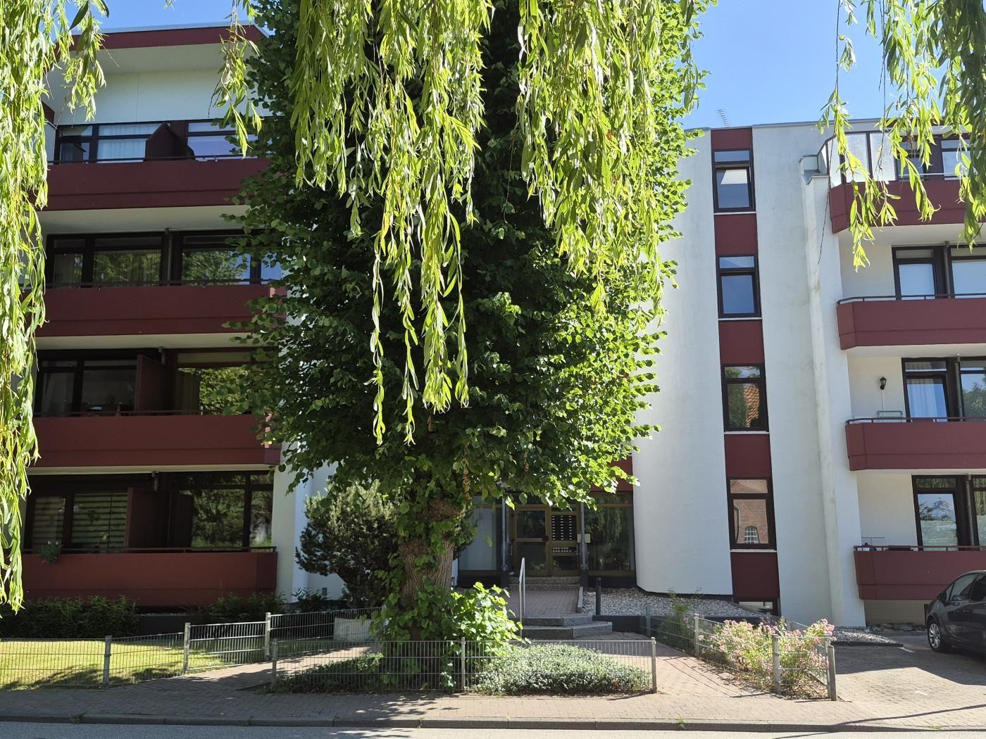 Modernes Mehrfamilienhaus mit Balkonen und großen Fenstern. Großer Baum vor dem Eingang.