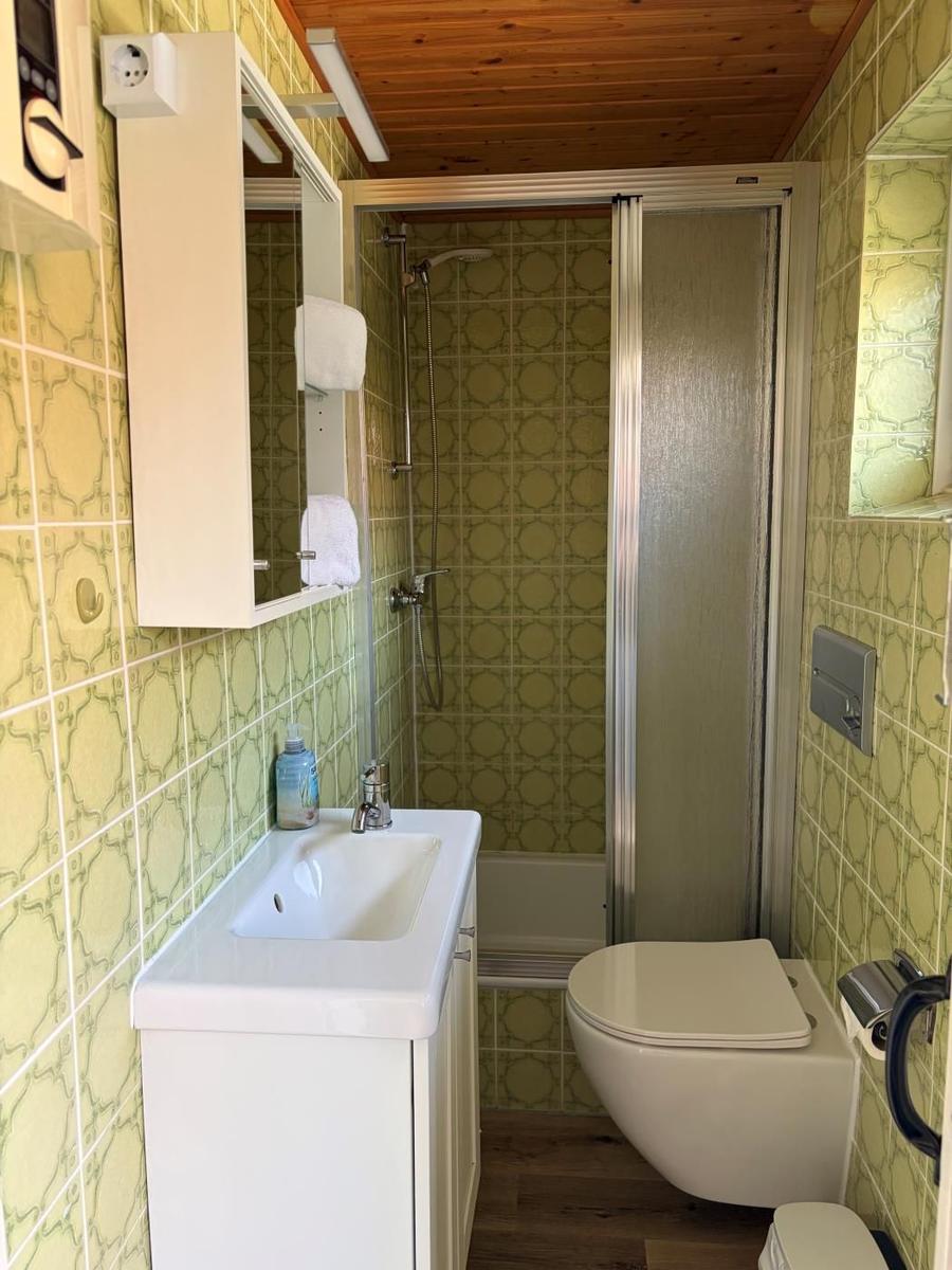 Badezimmer mit Dusche, Waschbecken und Toilette. Wandfliesen mit Muster.