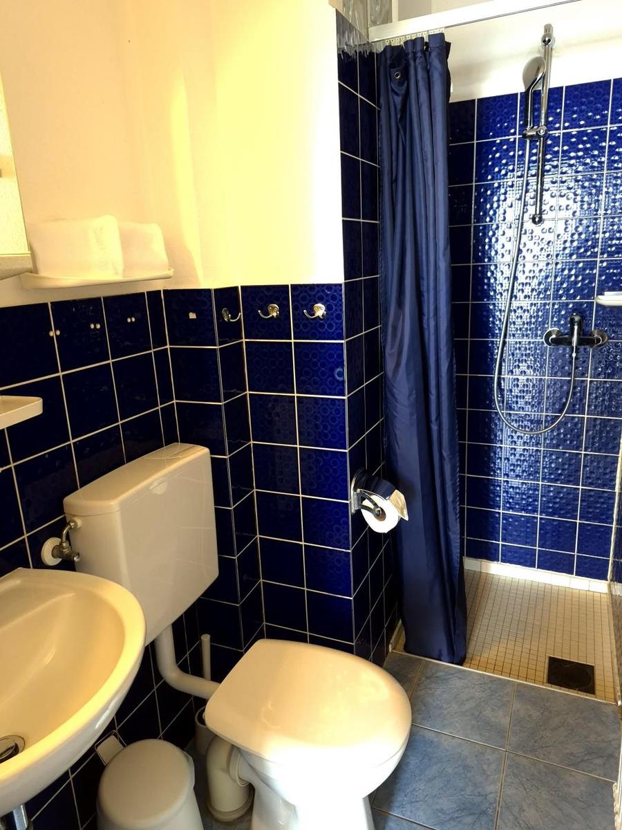 Badezimmer mit blauen Fliesen, Dusche, Toilette und Waschbecken.