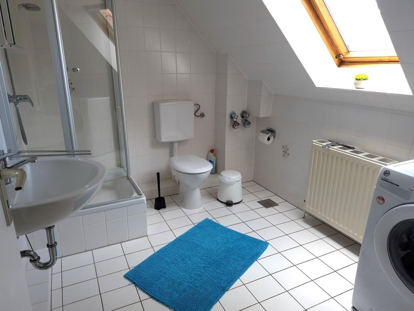 Badezimmer mit Dusche, Toilette, Waschmaschine und Dachfenster.