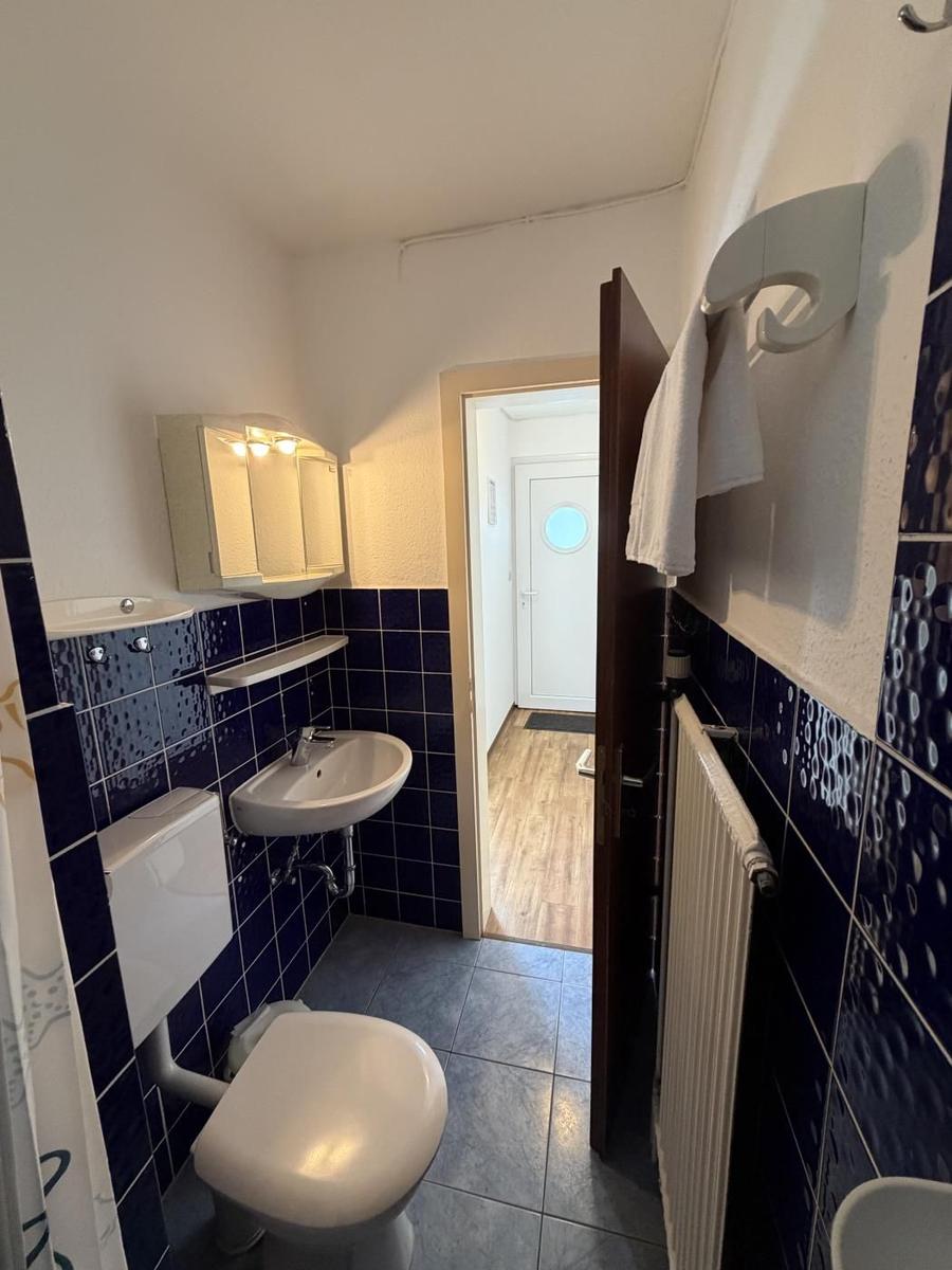 Badezimmer mit Toilette, Waschbecken und Spiegelschrank. Wandfliesen in Dunkelblau.