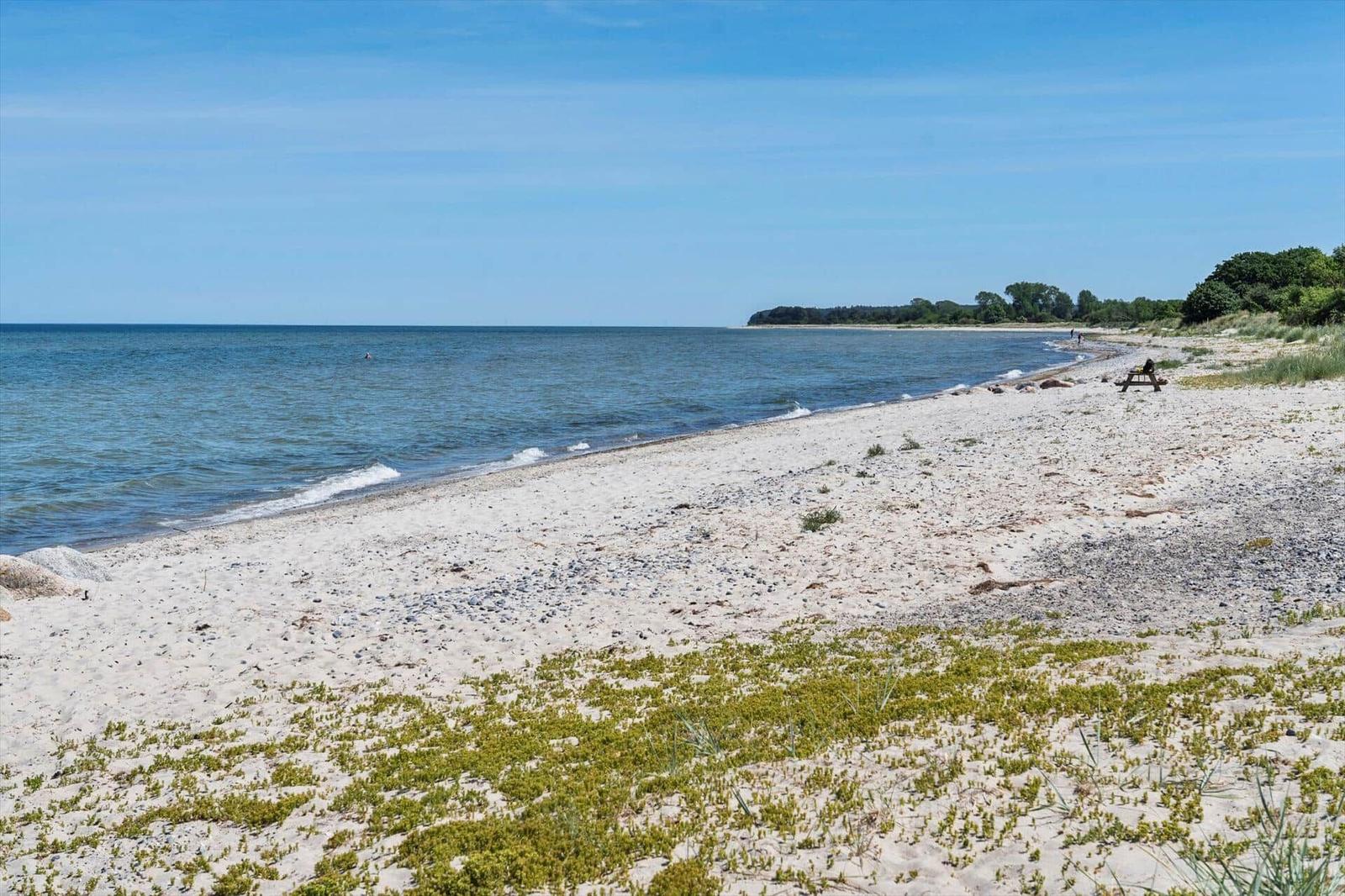 Strand mit weißem Sand und grüner Vegetation am Ufer. Im Hintergrund sind Bäume und das Meer zu sehen.