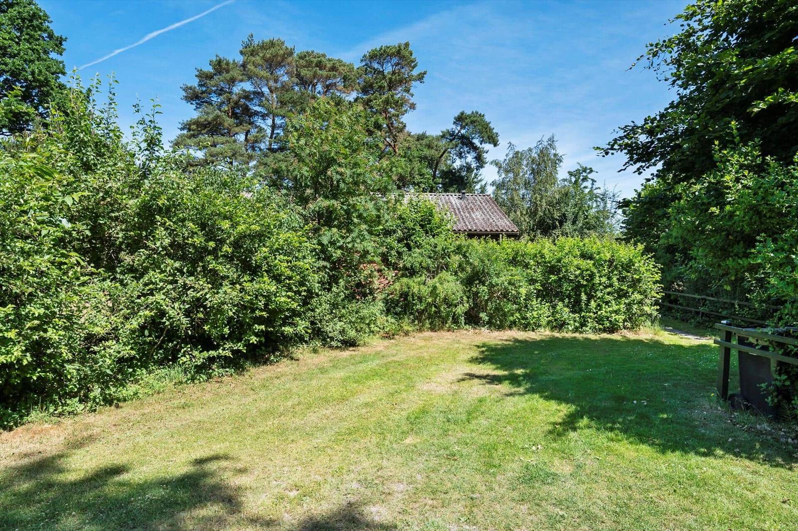 Grüner Garten mit Rasenfläche und Blick auf einen Wald. Hinter dem Buschwerk ist ein Gebäude sichtbar.