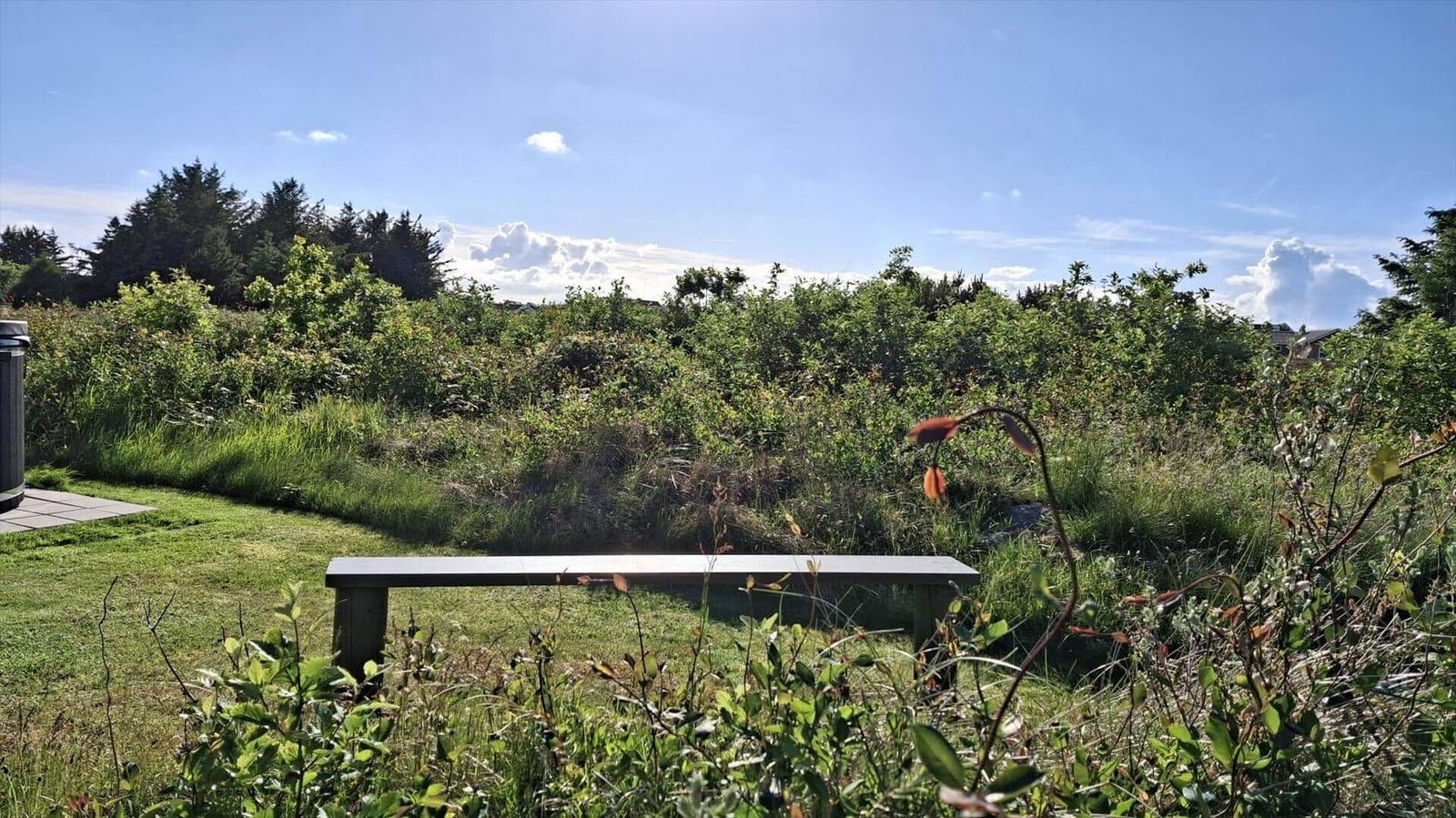 Eine Bank im Garten mit Blick auf Grünflächen und Bäume unter blauem Himmel.