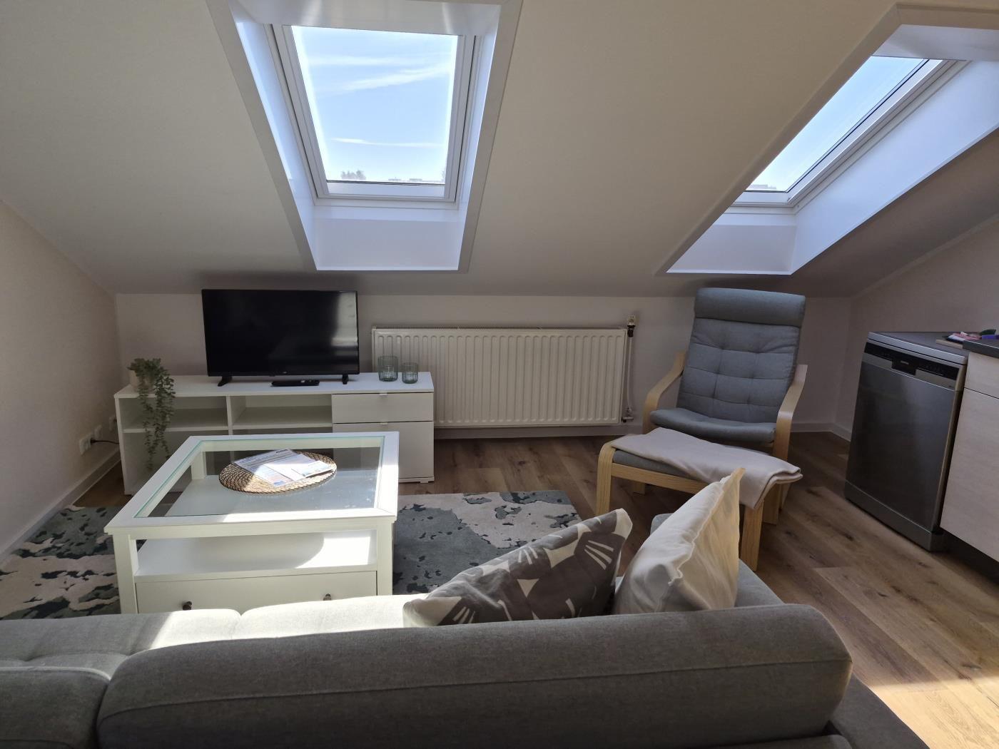 Living room with skylights, sofa, TV, and armchair.