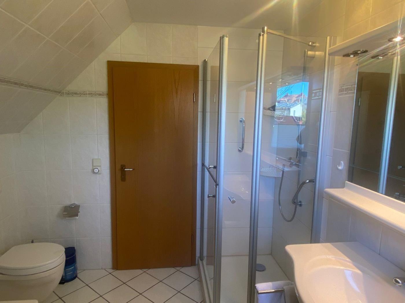 Badezimmer mit Dusche, Waschbecken und Toilette. Holztür und Fliesenwand.