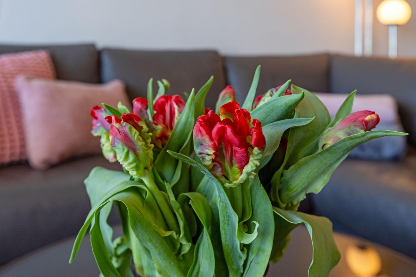 Ein Strauß roter Tulpen steht auf einem Tisch vor einem Sofa mit Kissen.