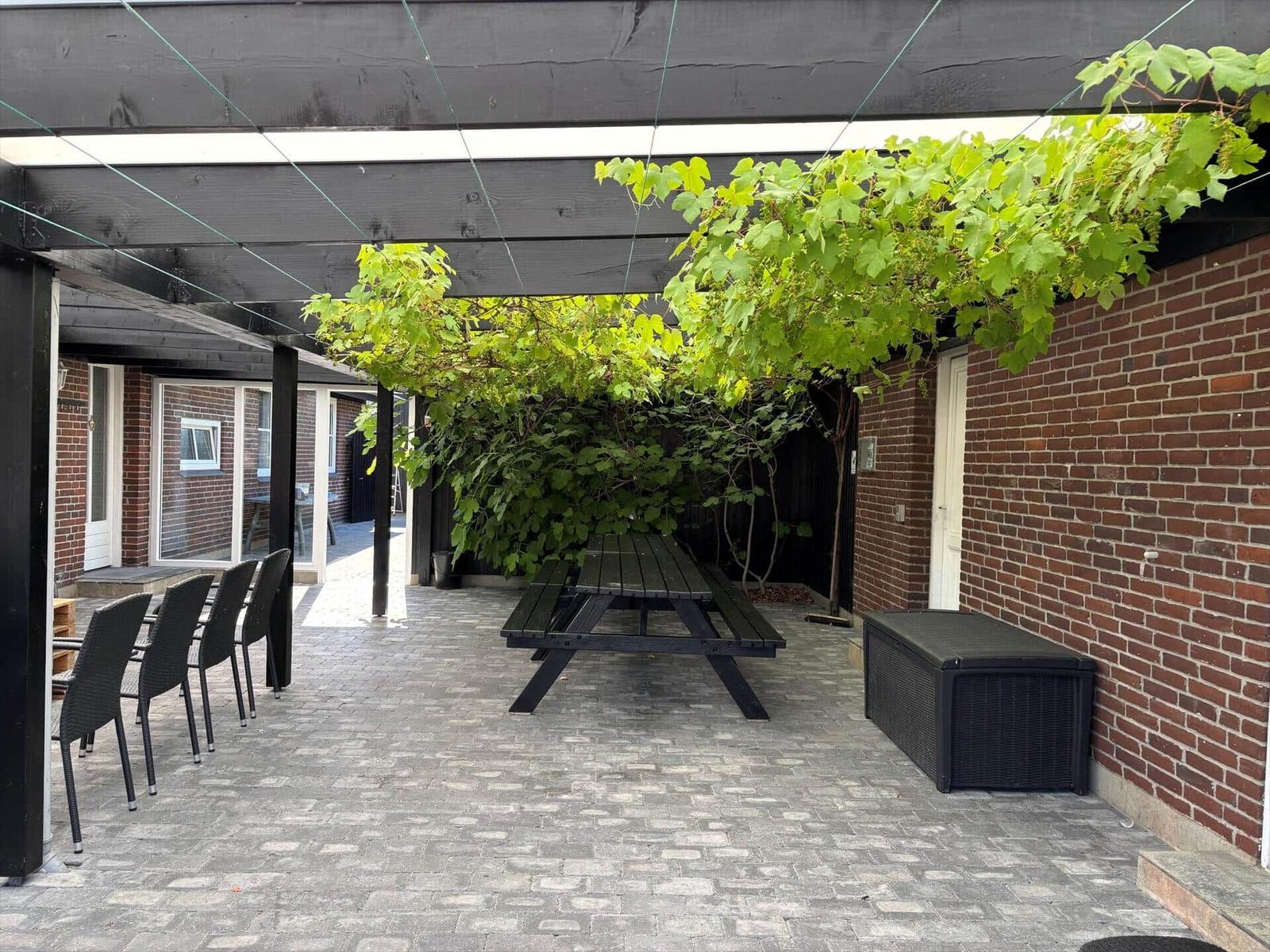 Terrace with table, chairs, and climbing plants under a roof.