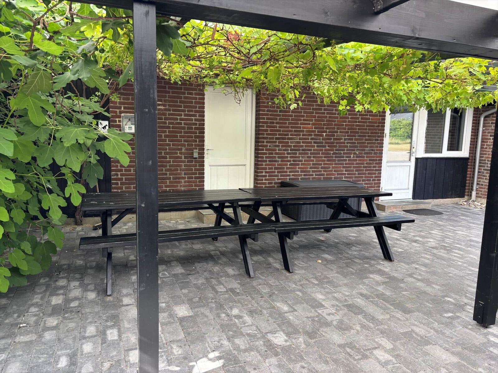 Black wooden table with benches under a pergola with climbing plants.