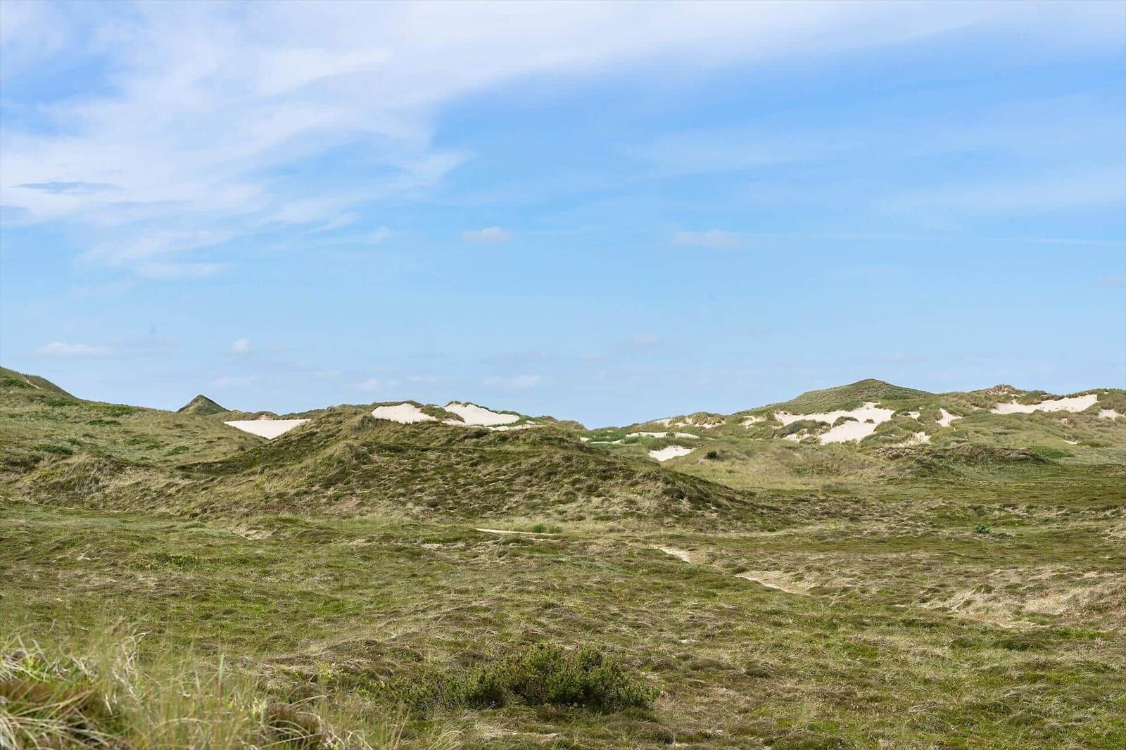 Grüne Dünenlandschaft unter blauem Himmel mit sandigen Erhebungen.